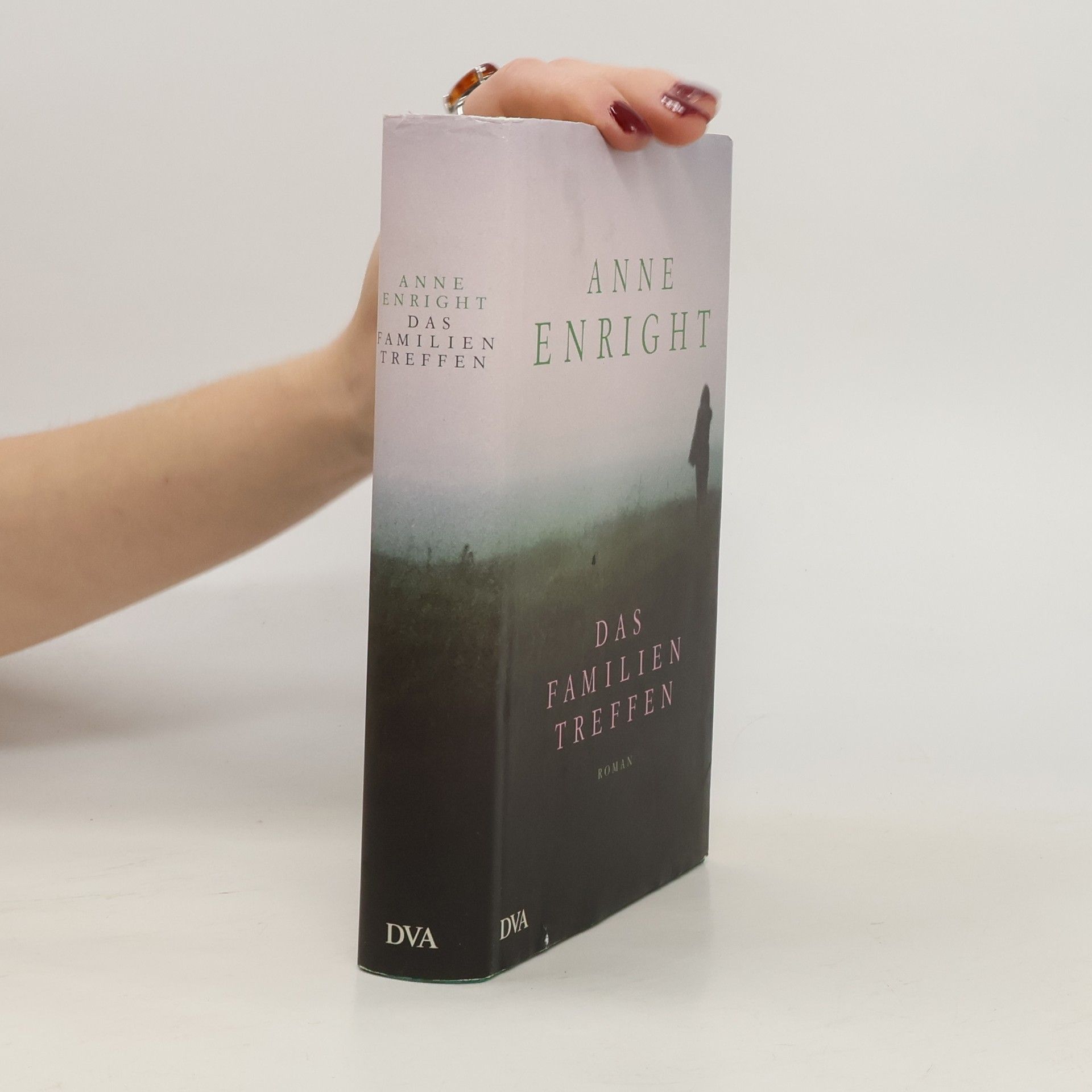 Anne Enright Das Familientreffen