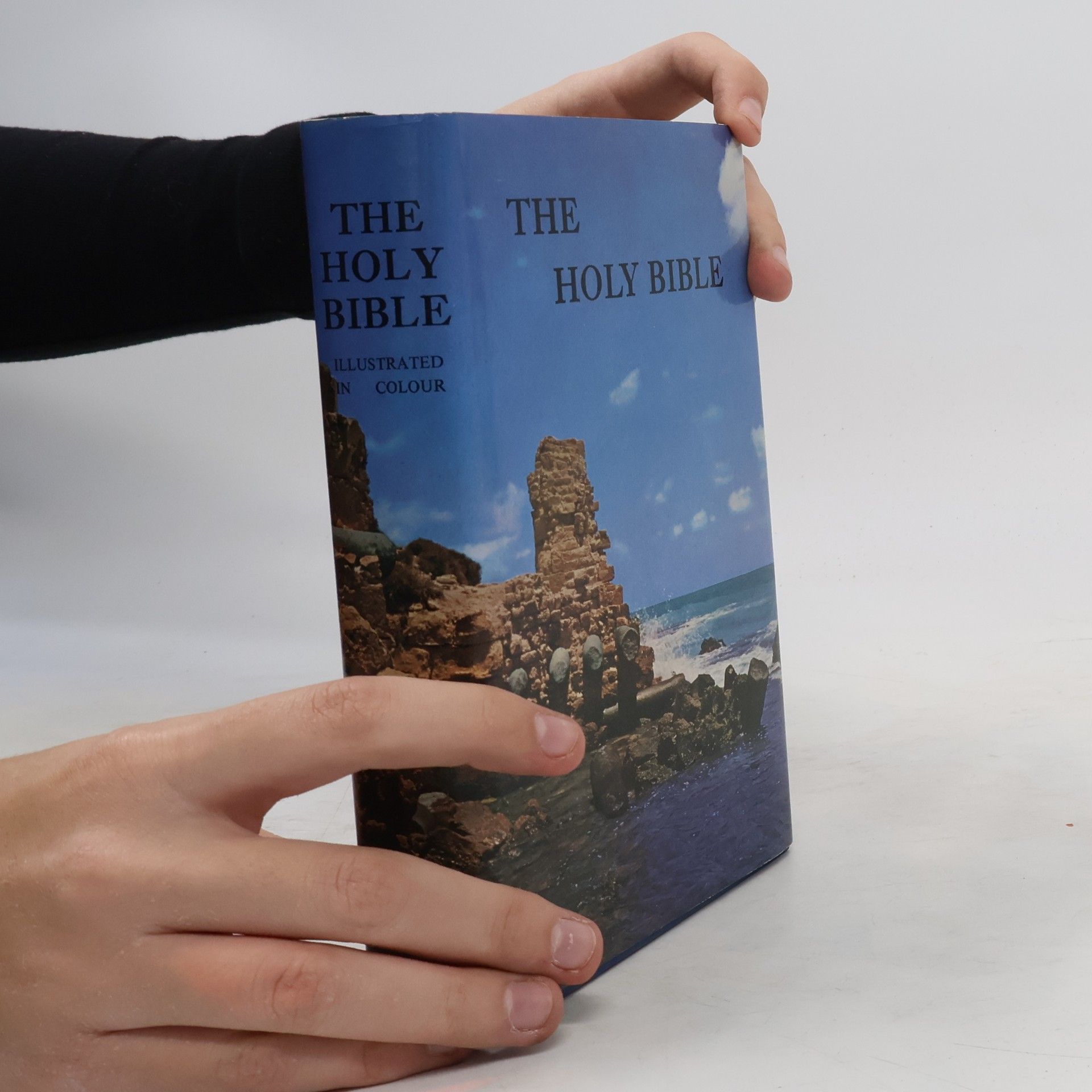 Autores varios The Holy Bible Containing The Old and New Testaments