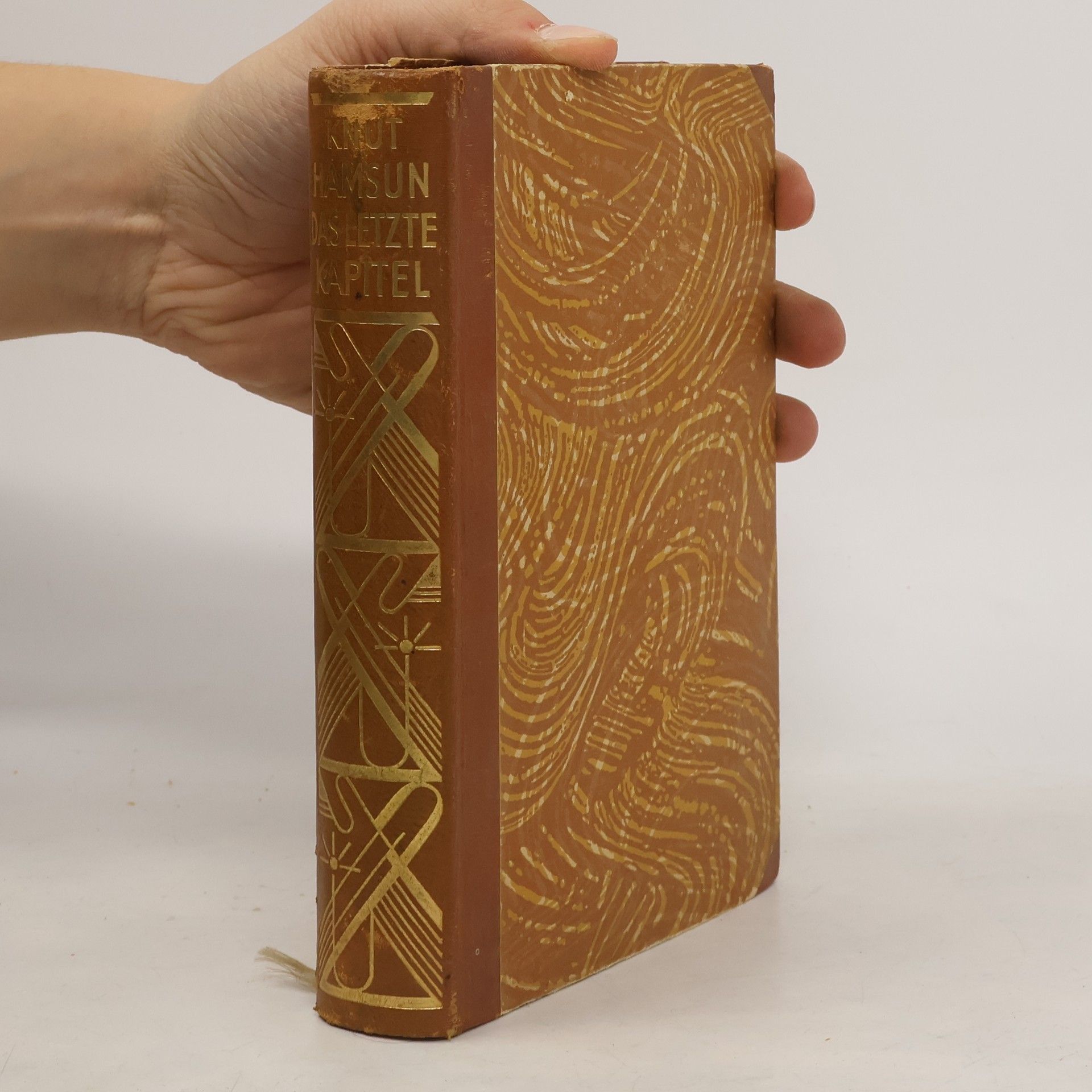 Knut Hamsun Das letzte Kapitel