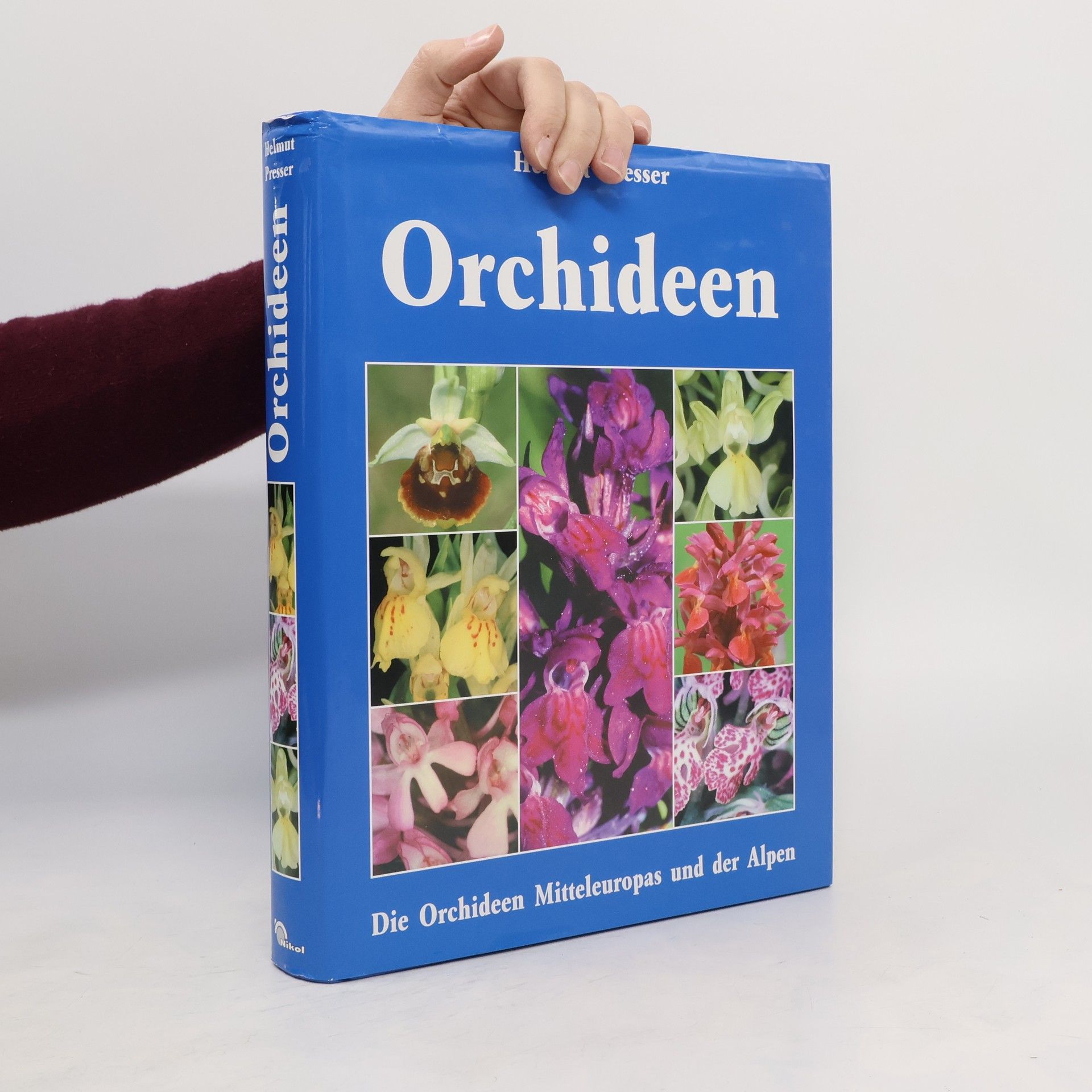 Orchideen