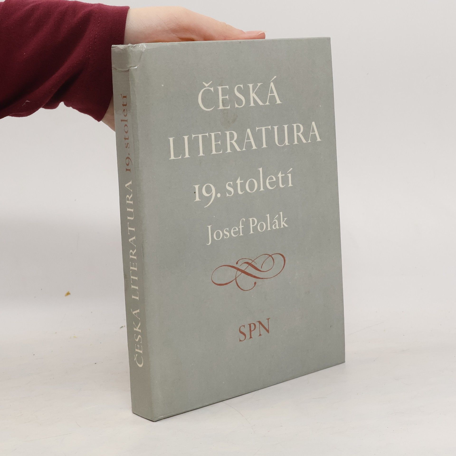 Josef Polák Česká literatura 19. století