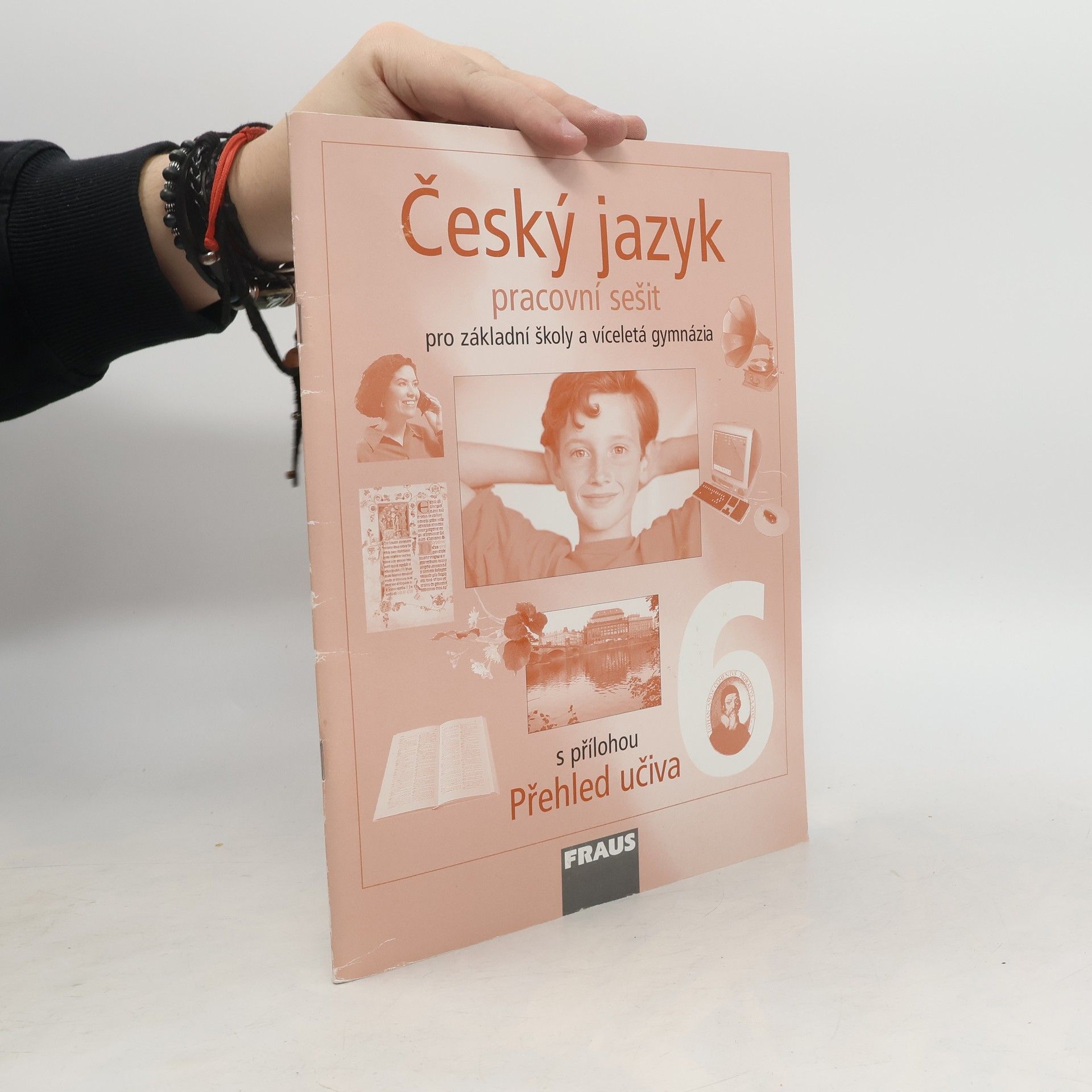 Český jazyk 6 pro základní školy a víceletá gymnázia. Pracovní sešit