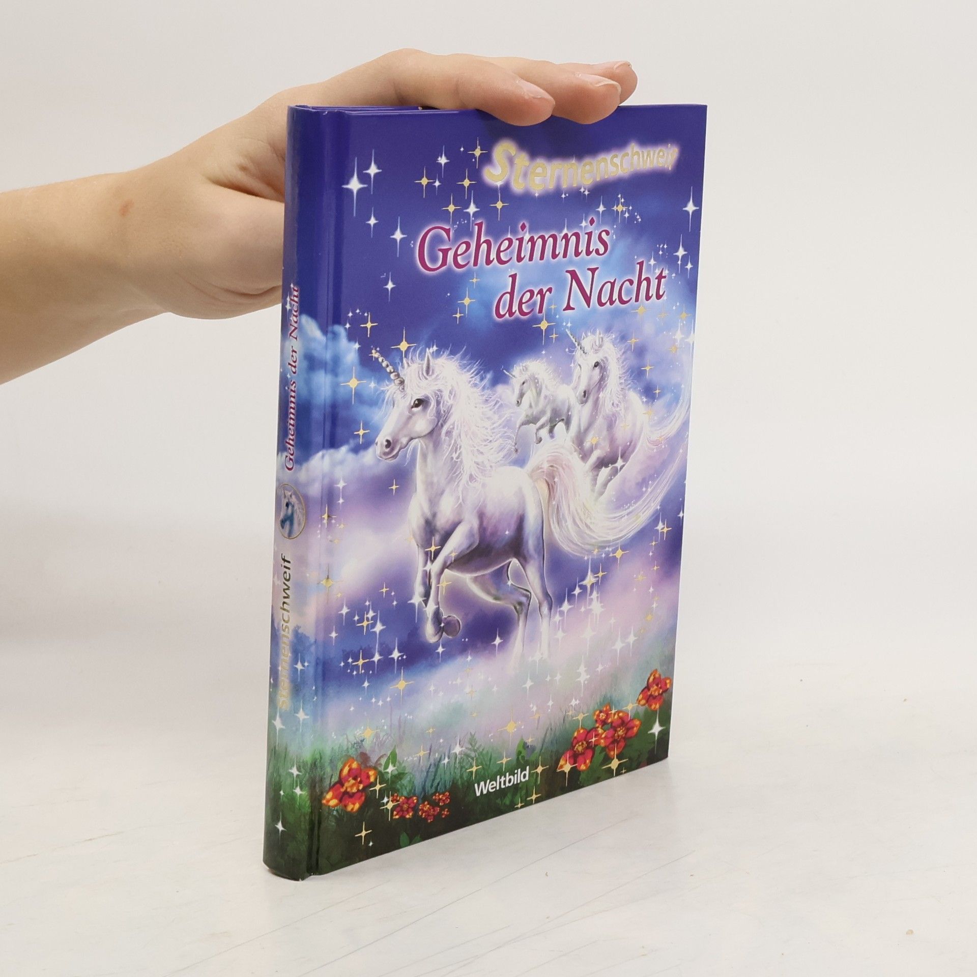 Auteurscollectief Sternenschweit. Geheimnis der Nacht