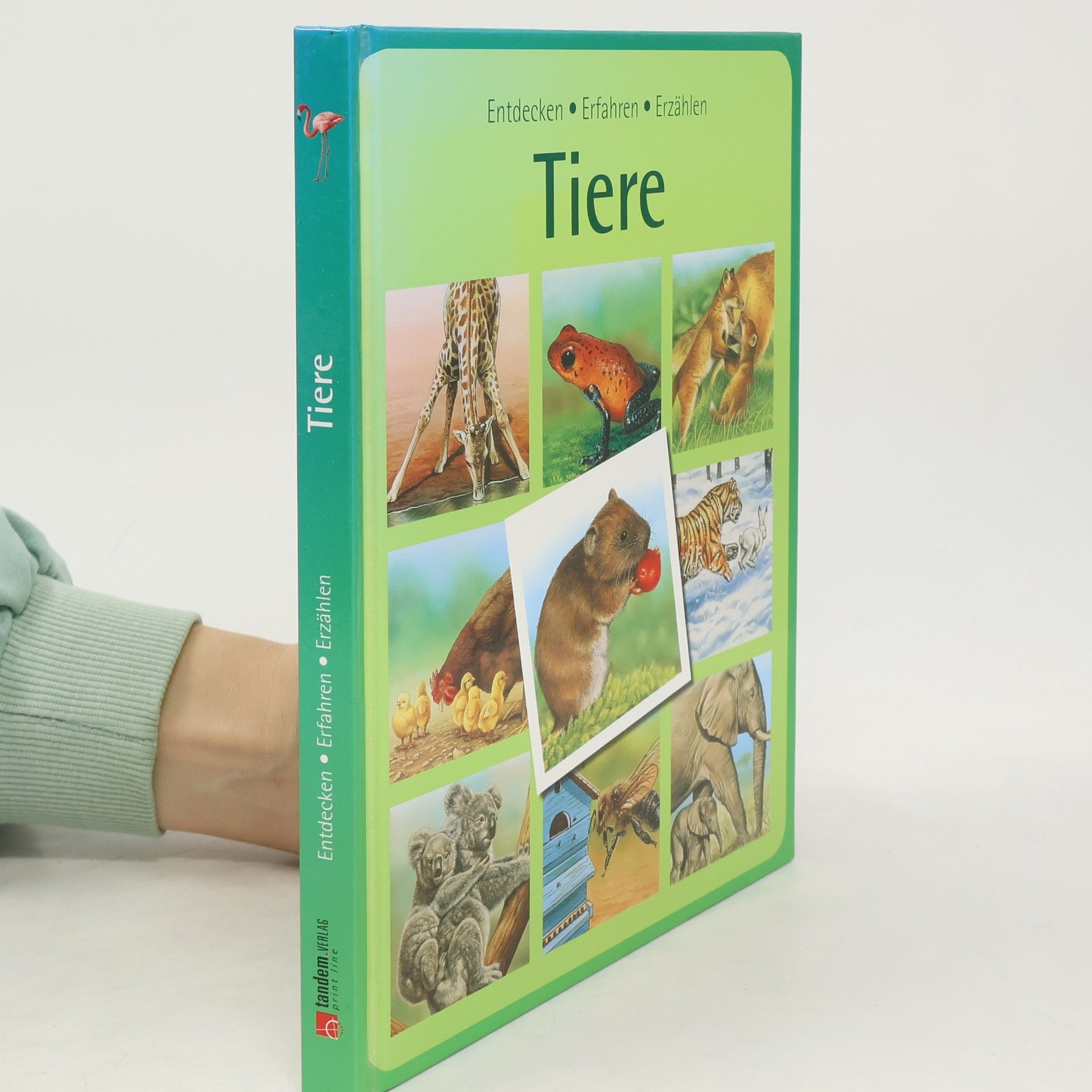 Auteurscollectief Tiere