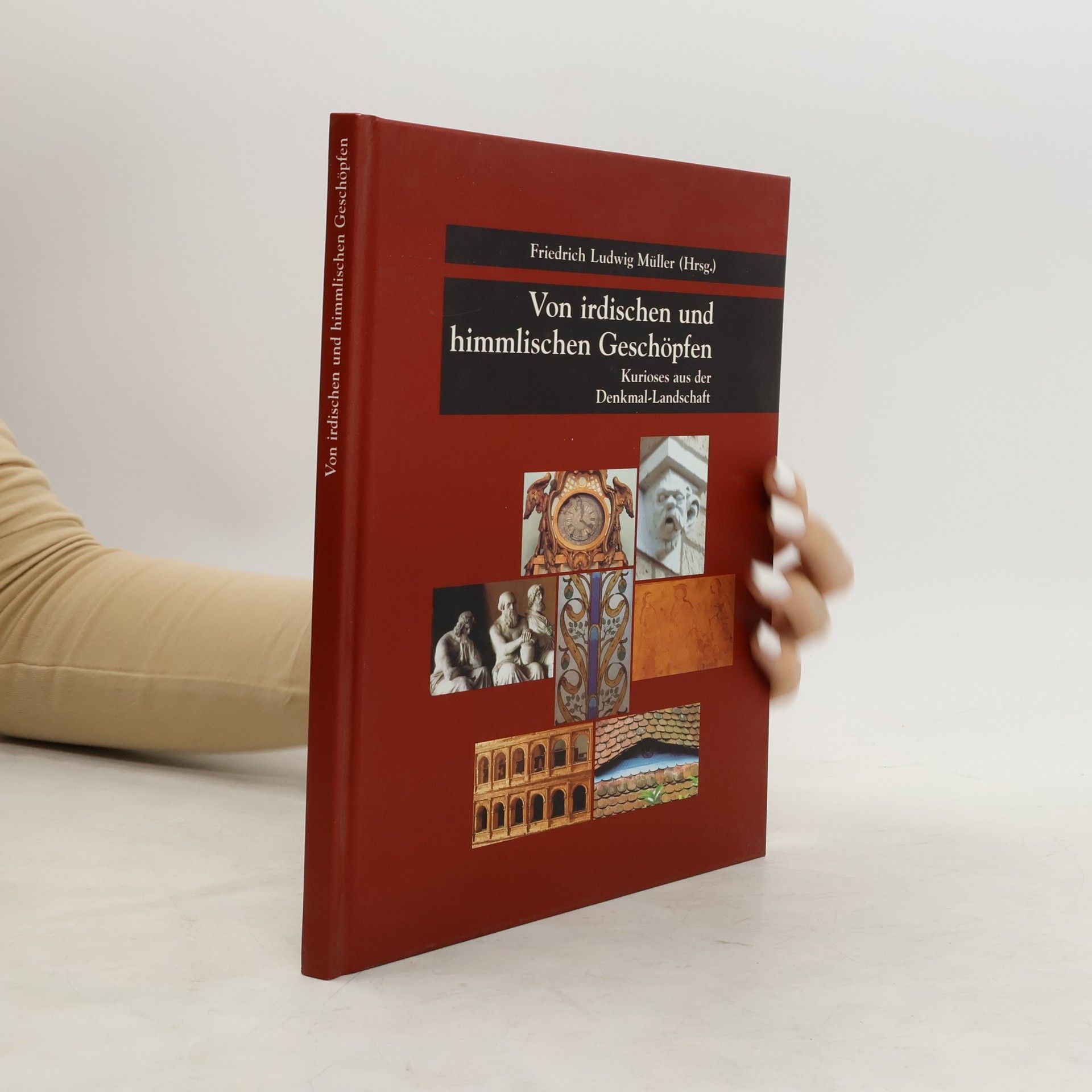 Autorenkollektiv Kurioses aus der Denkmallandschaft