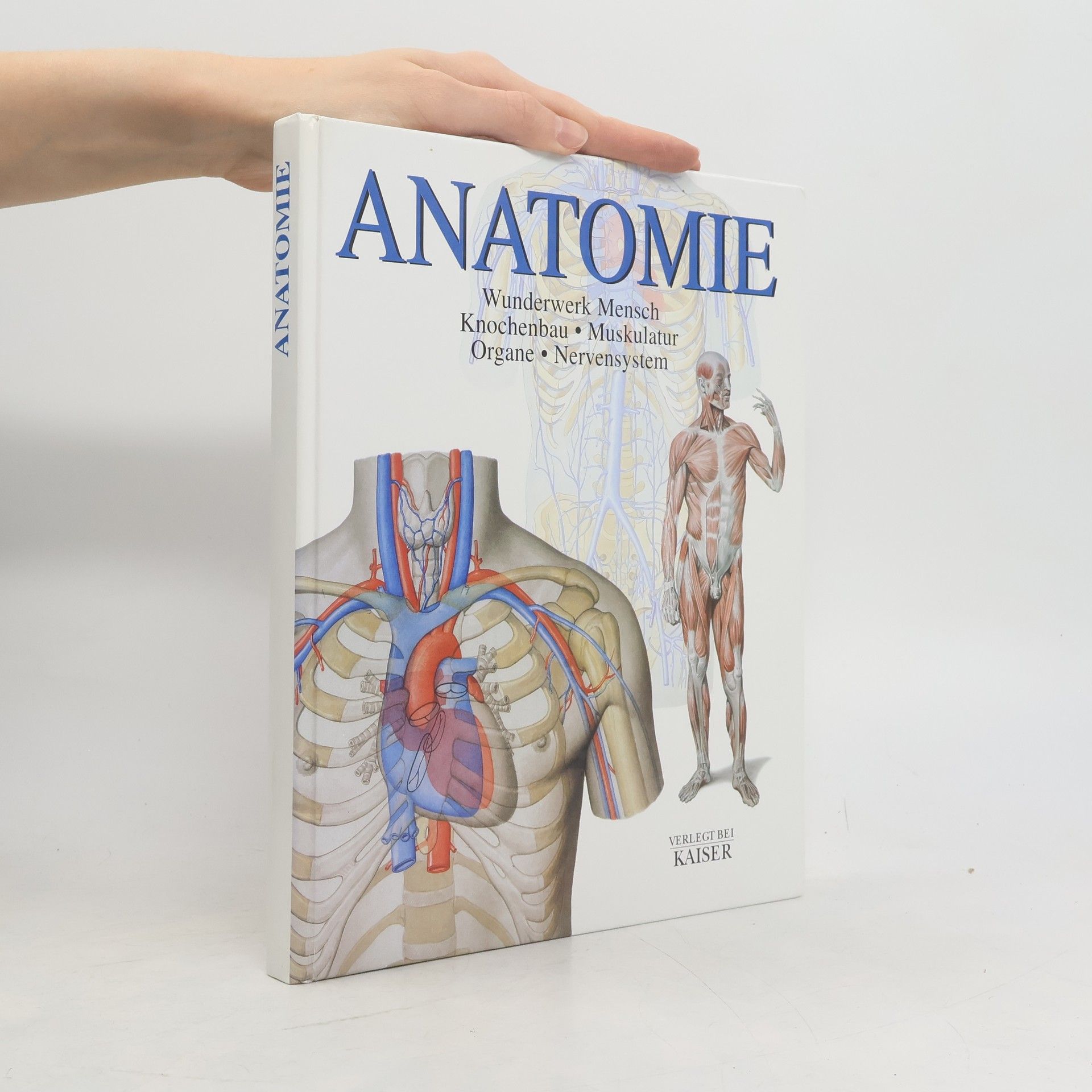 Carmen Schöninger Anatomie