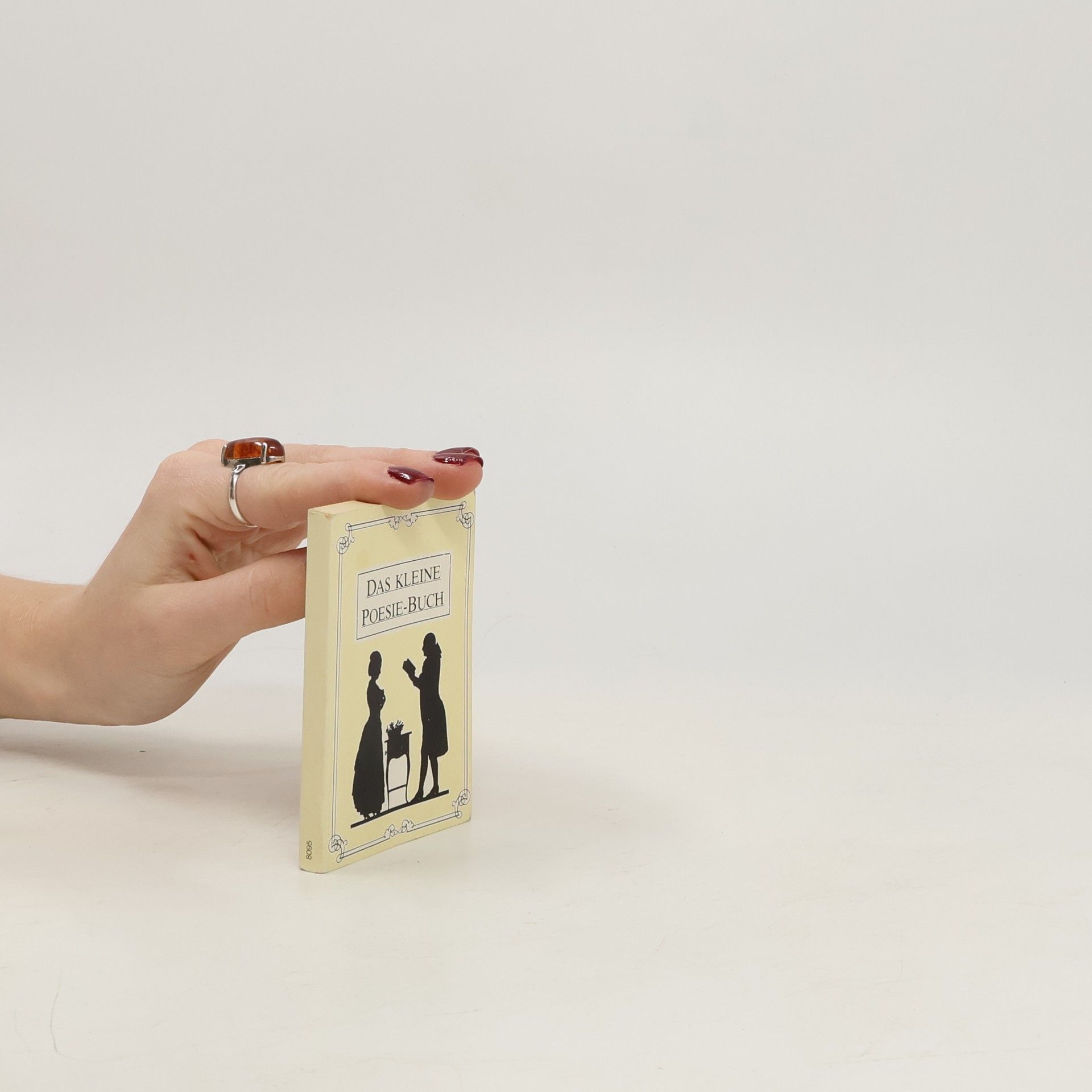 AA.VV. Das kleine Poesie-Buch