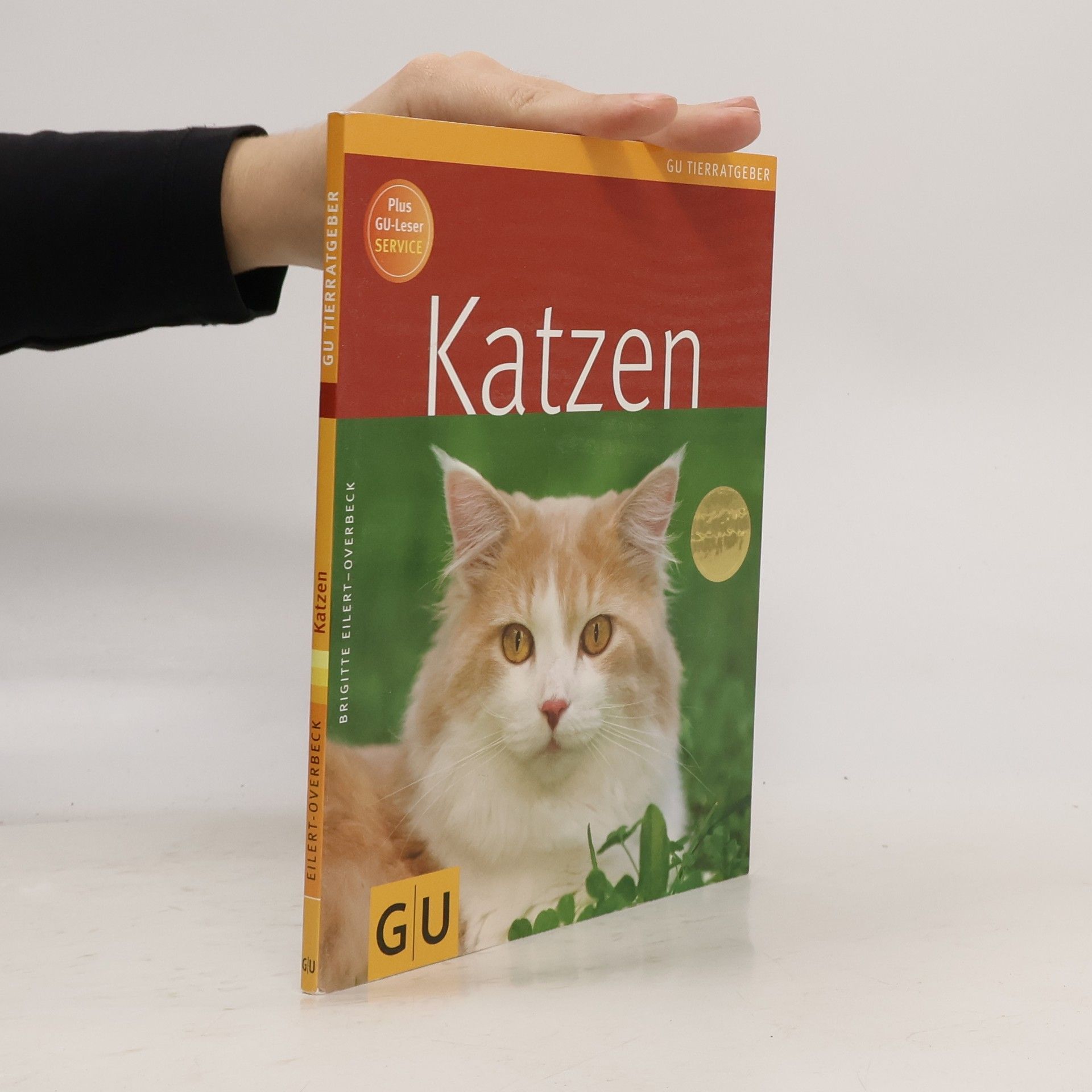 Katzen