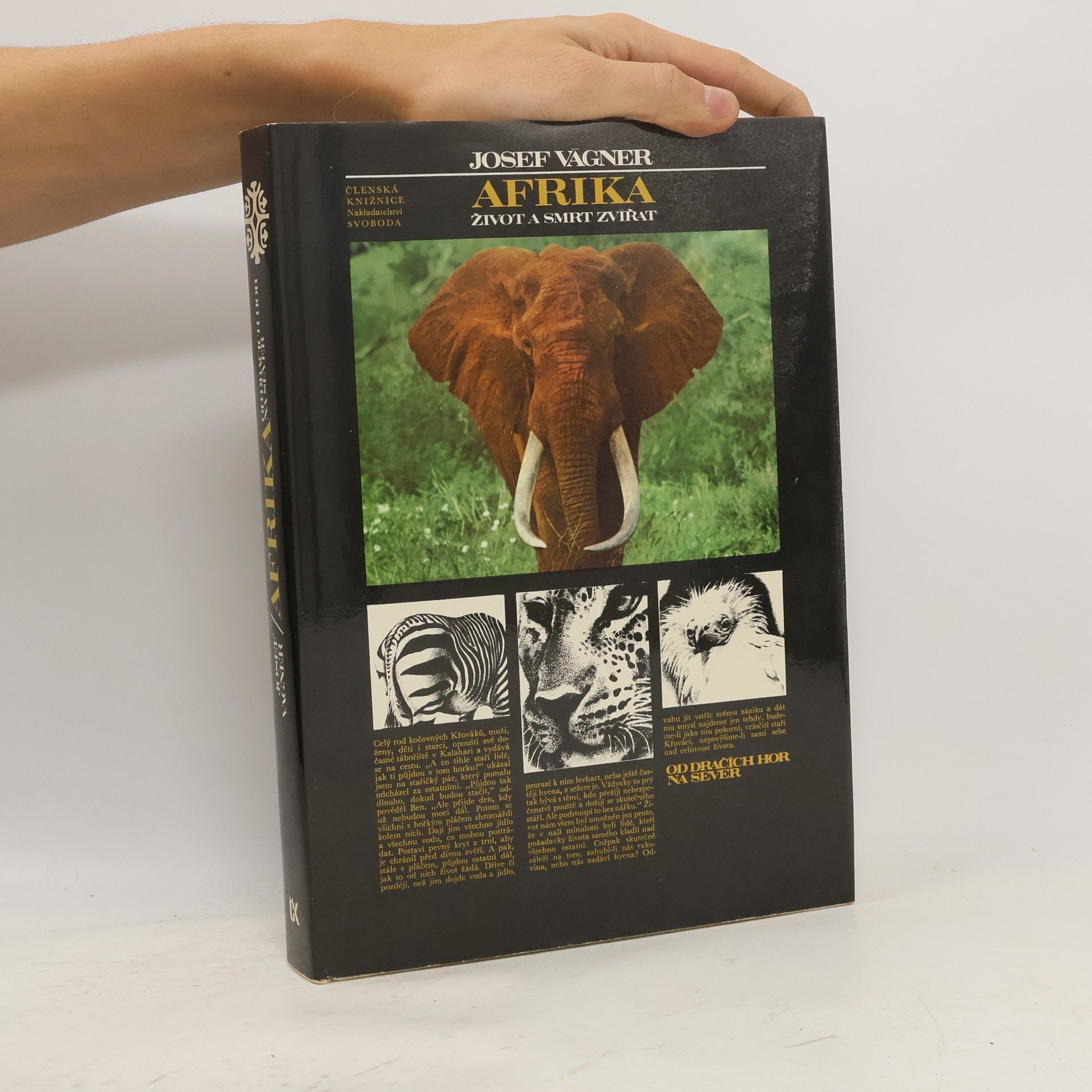 Josef Vágner Afrika. Život a smrt zvířat