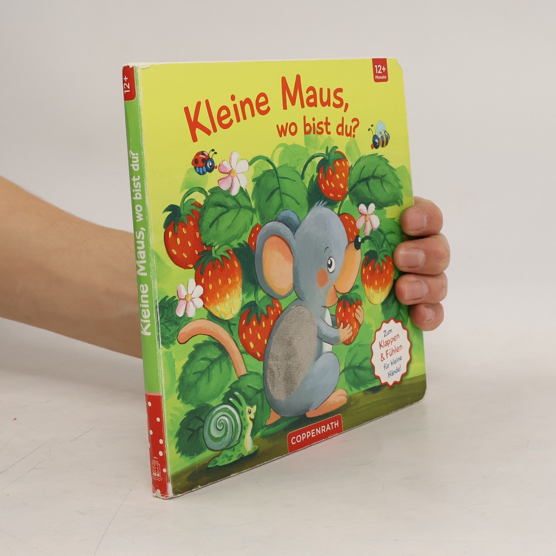 Sabine Kraushaar Mein erstes Guckloch-Fühlbuch: Kleine Maus, wo bist du?