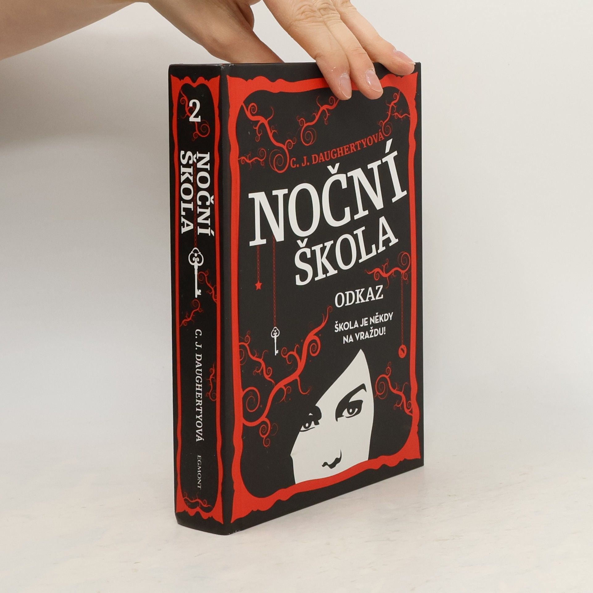 Christi Daugherty Noční škola. Odkaz