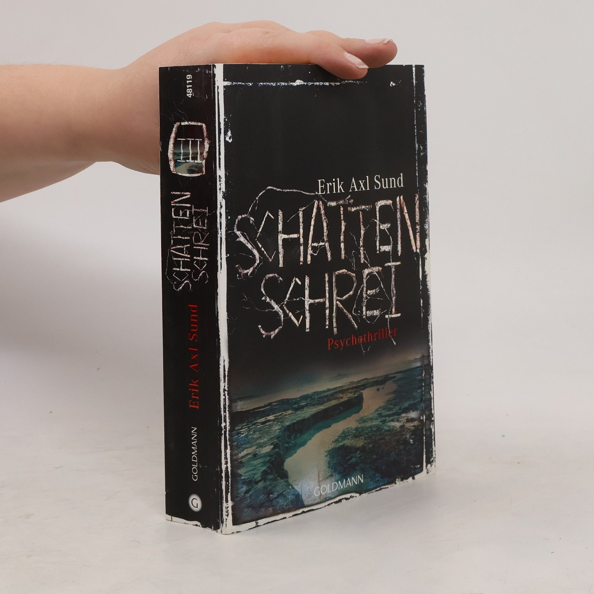 Erik Axl Sund Schattenschrei