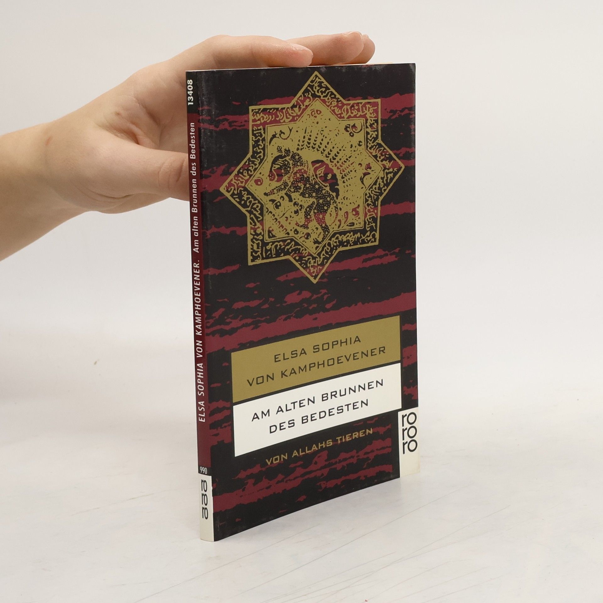 Elsa Sophia von Kamphoevener Am alten Brunnen des Bedesten