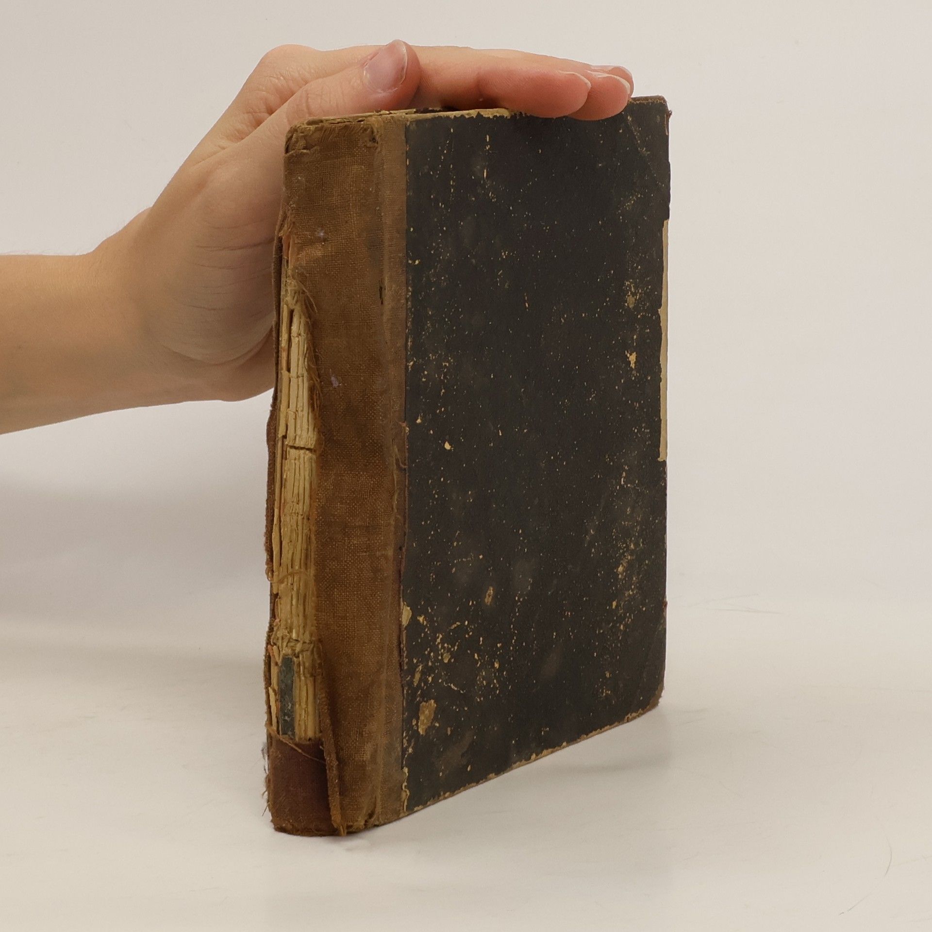 Bohuslava Záleská Markýz Villemer