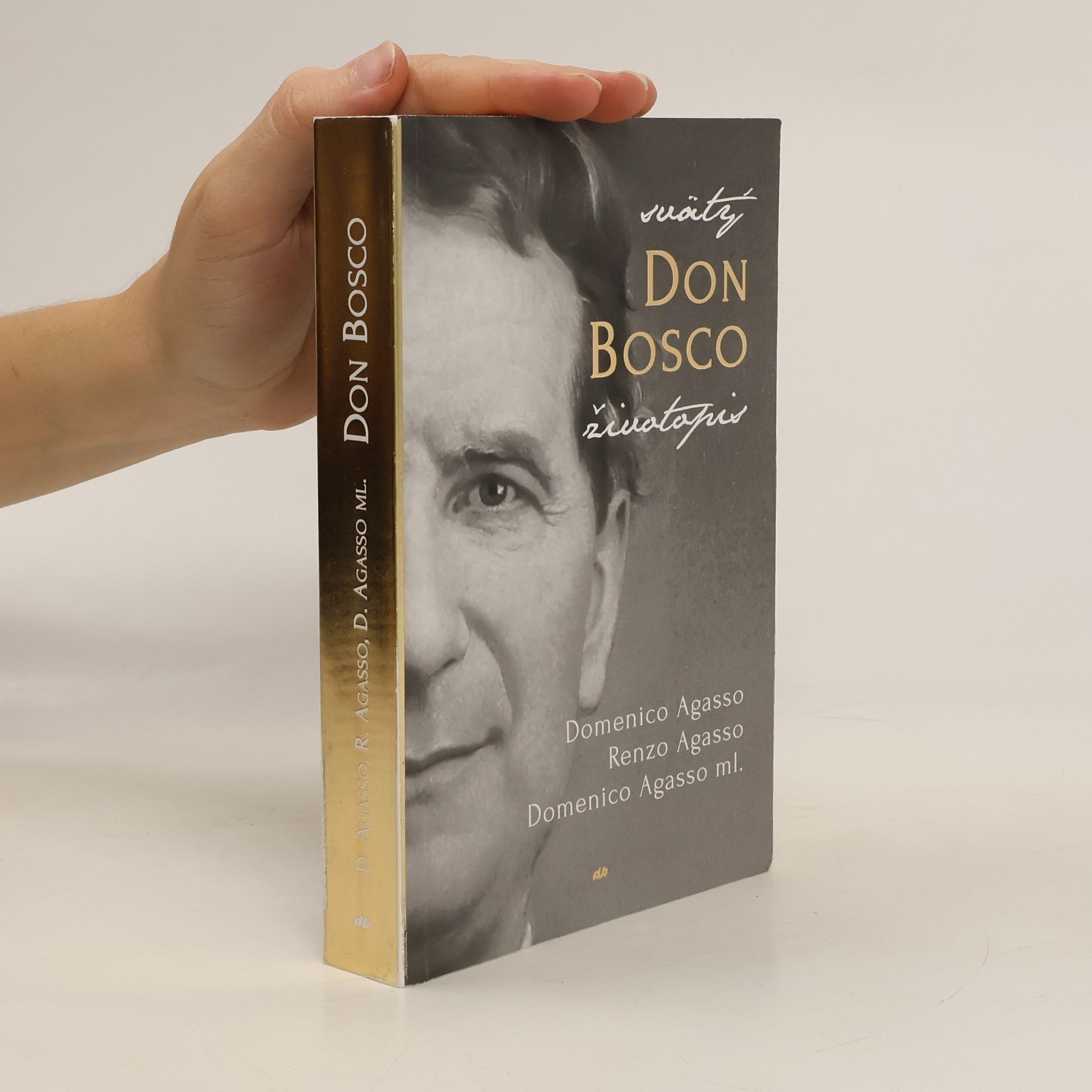 Domenico Agasso ml. Svätý Don Bosco. Životopis