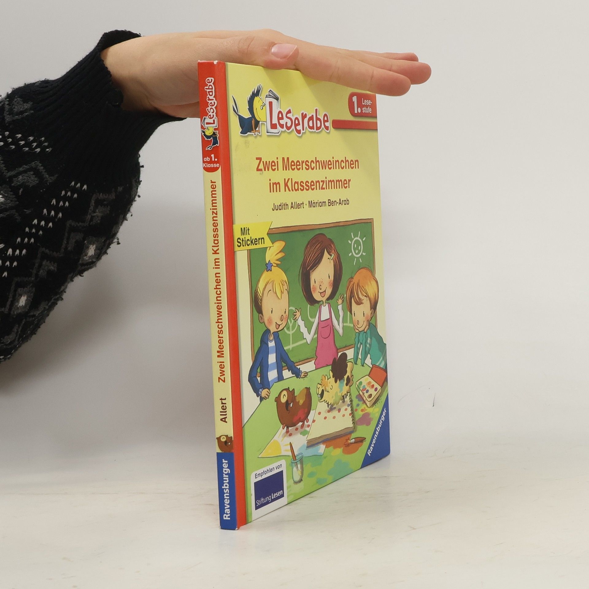 Judith Allert Zwei Meerschweinchen im Klassenzimmer