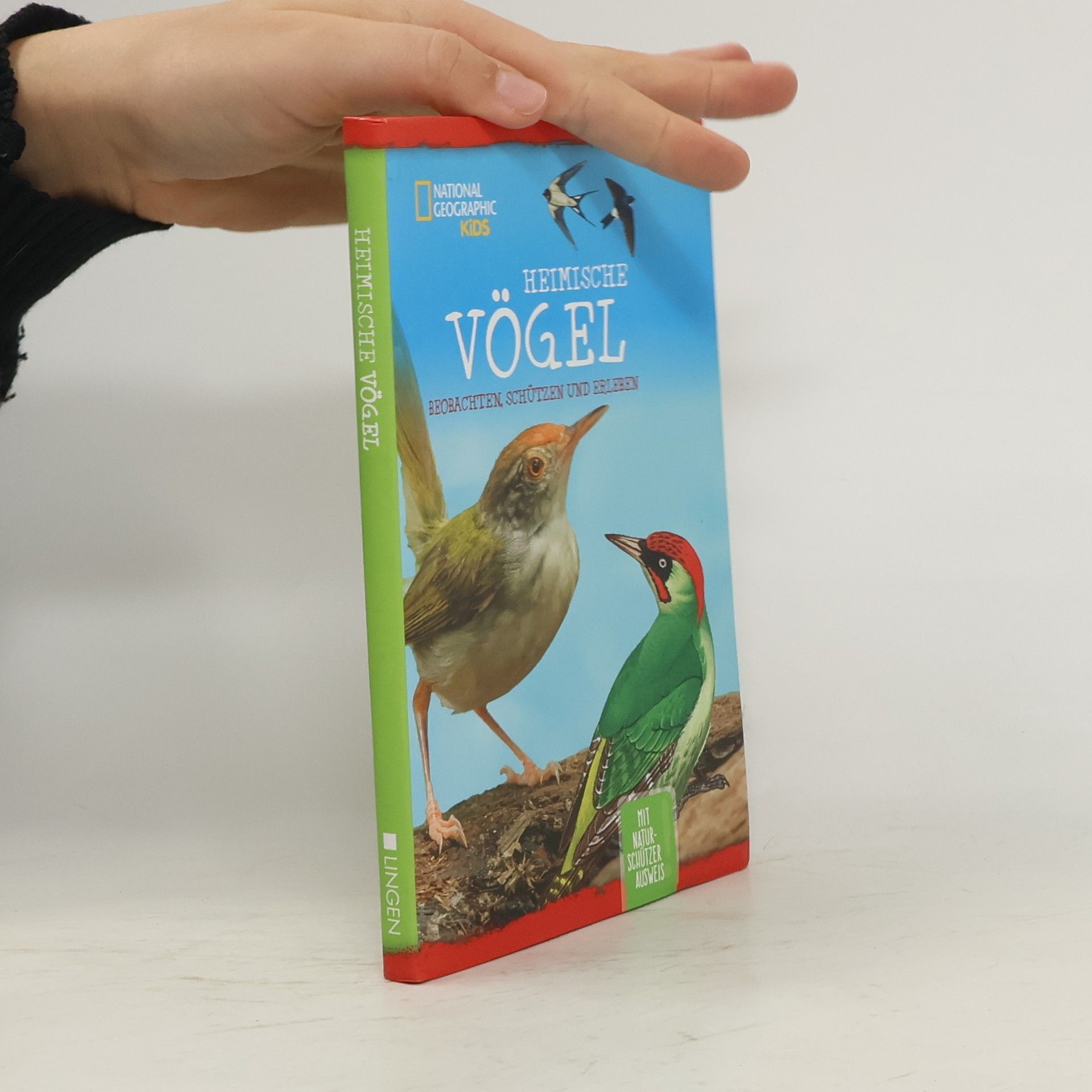 Collectif d'auteurs Heimische Vögel