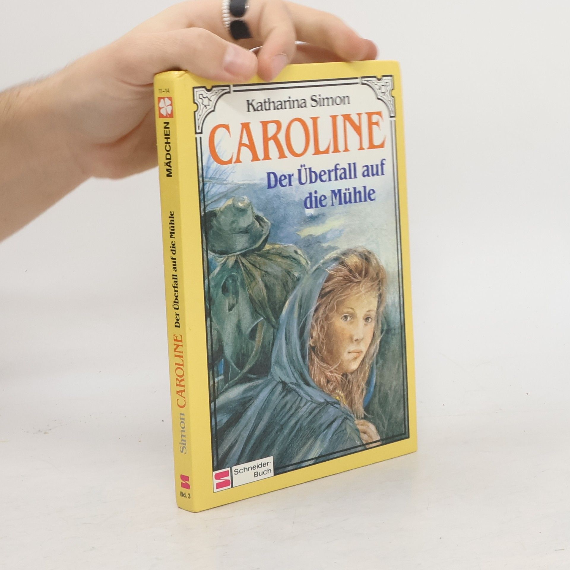 Katharina Simon Der Überfall auf die Mühle