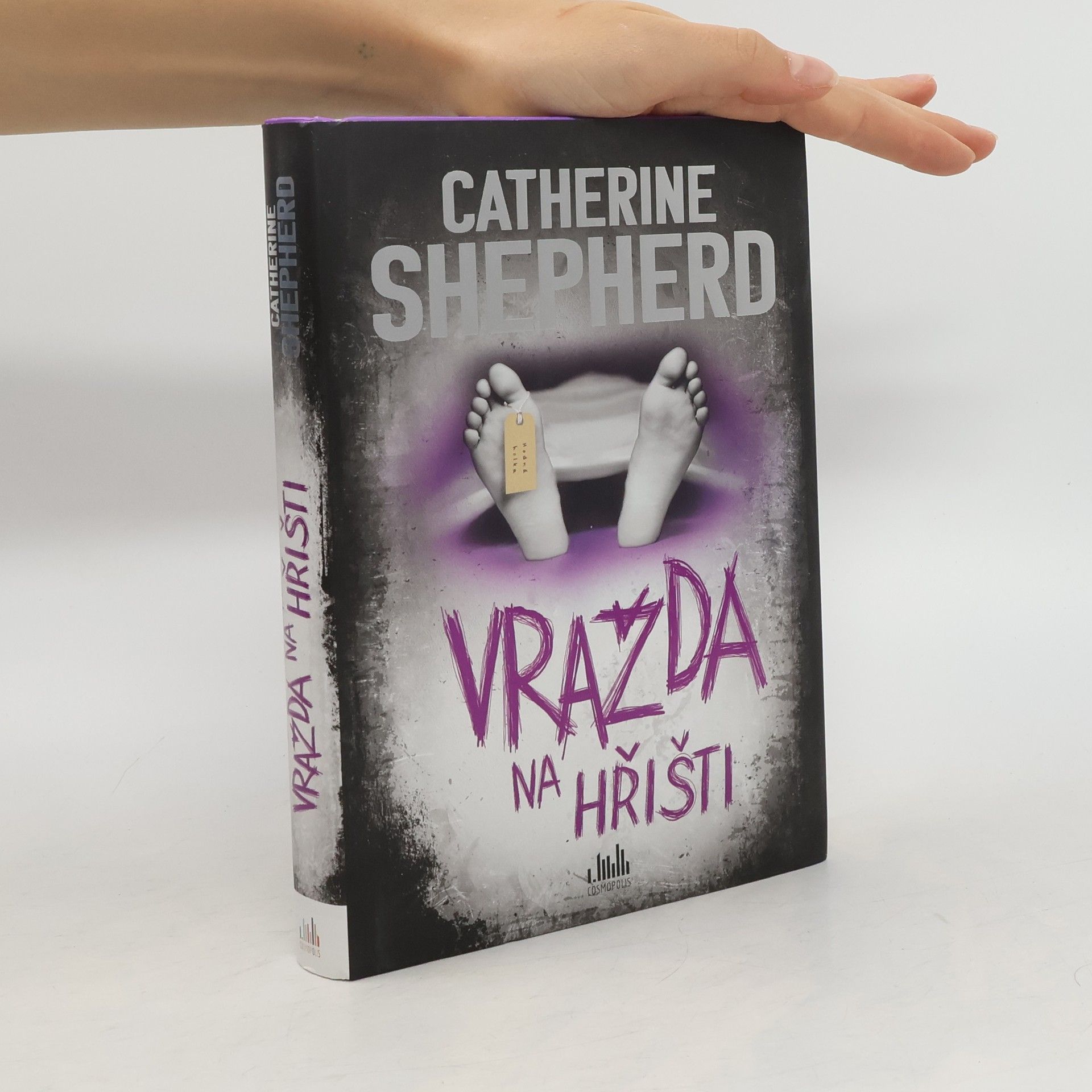 Catherine Shepherd Vražda na hřišti