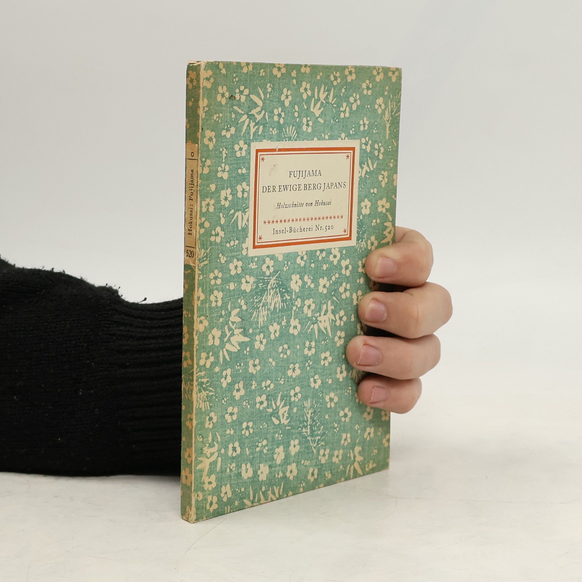 Fujijama, der ewige Berg Japans