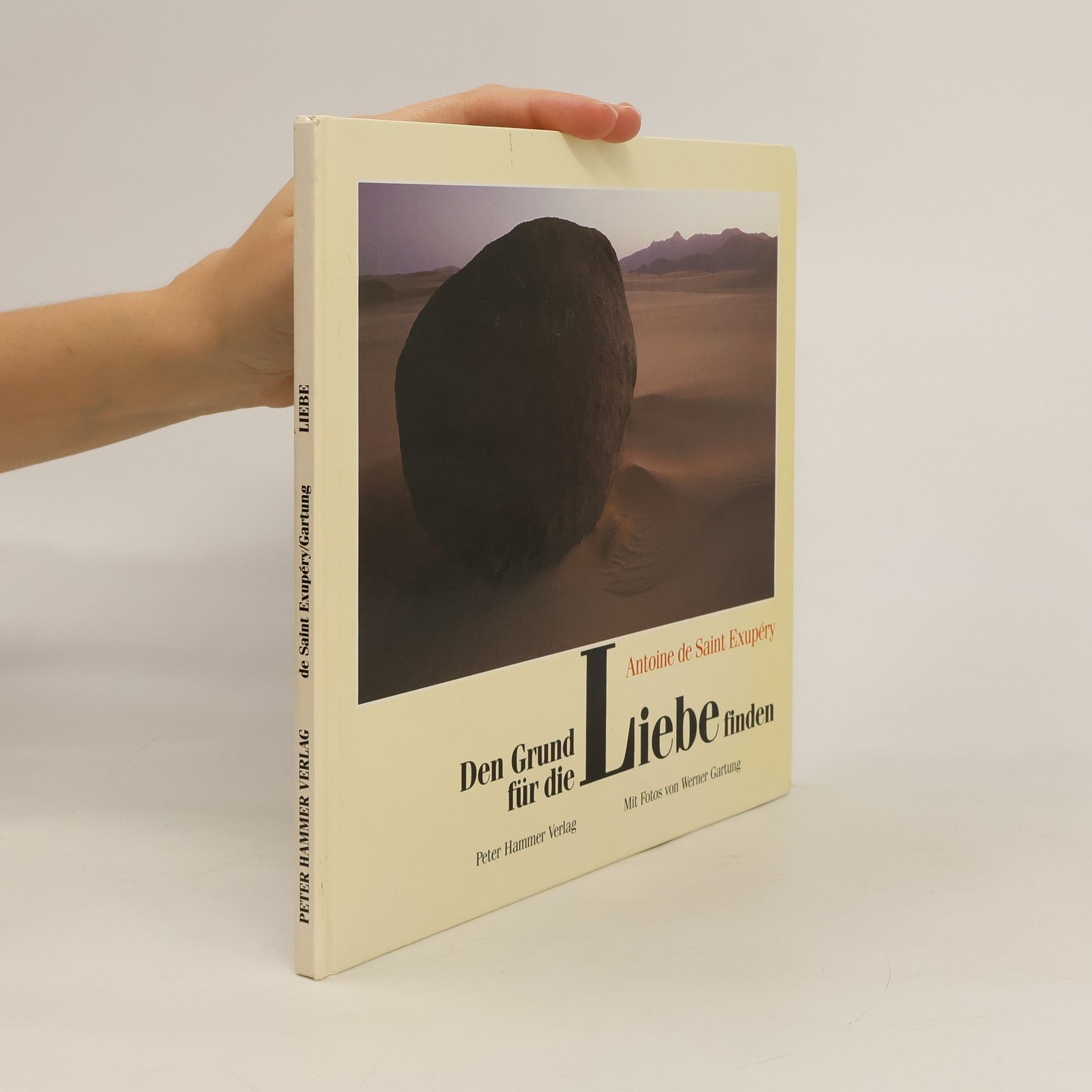 Antoine de Saint-Exupéry Den Grund für die Liebe finden