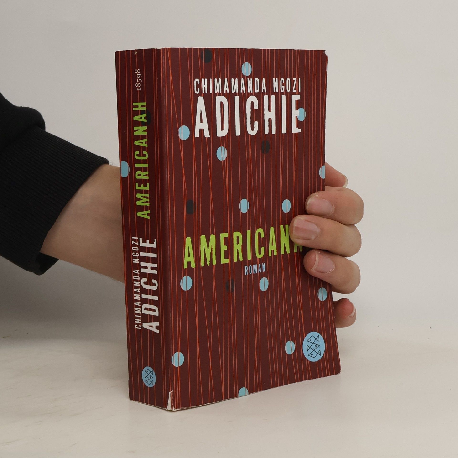 Chimamanda Ngozi Adichie Americanah