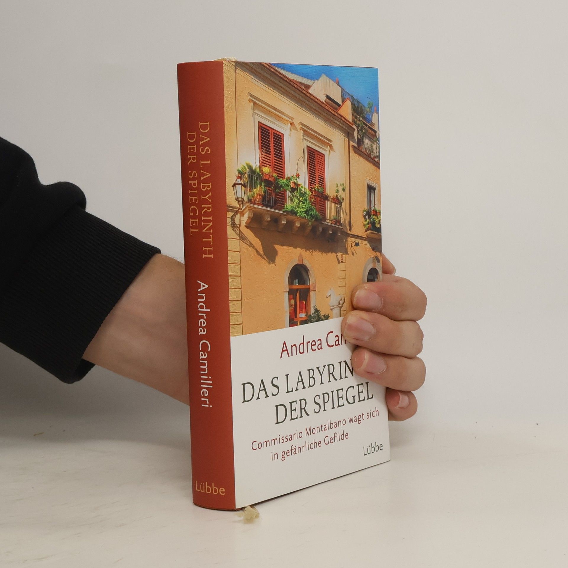 Andrea Camilleri Das Labyrinth der Spiegel