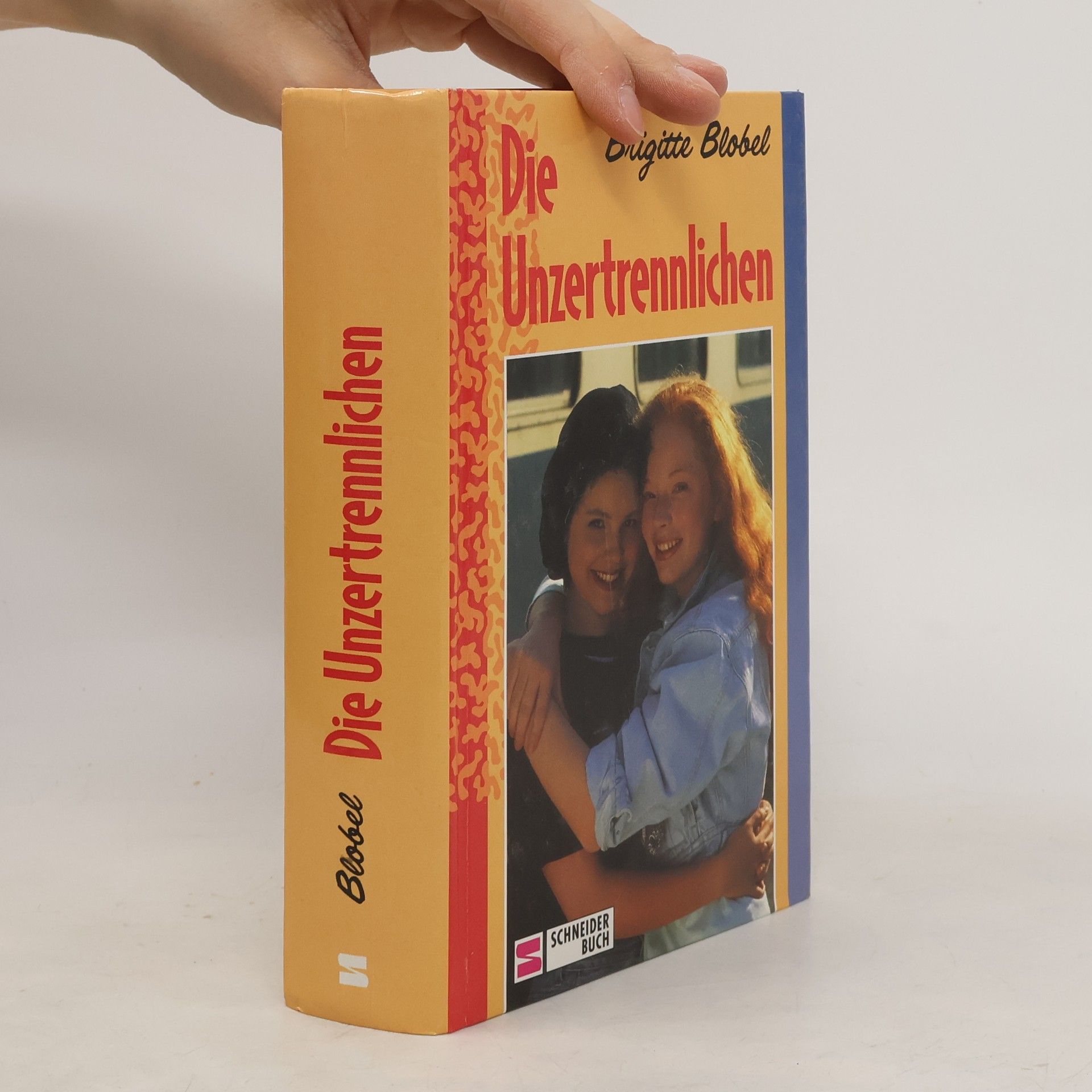 Brigitte Blobel Die Unzertrennlichen. Die Power-Girls, ein irres Gespann; Die Power-Girls, Skandal in der Kleinstadt. 2 Romane in 1 Bd.