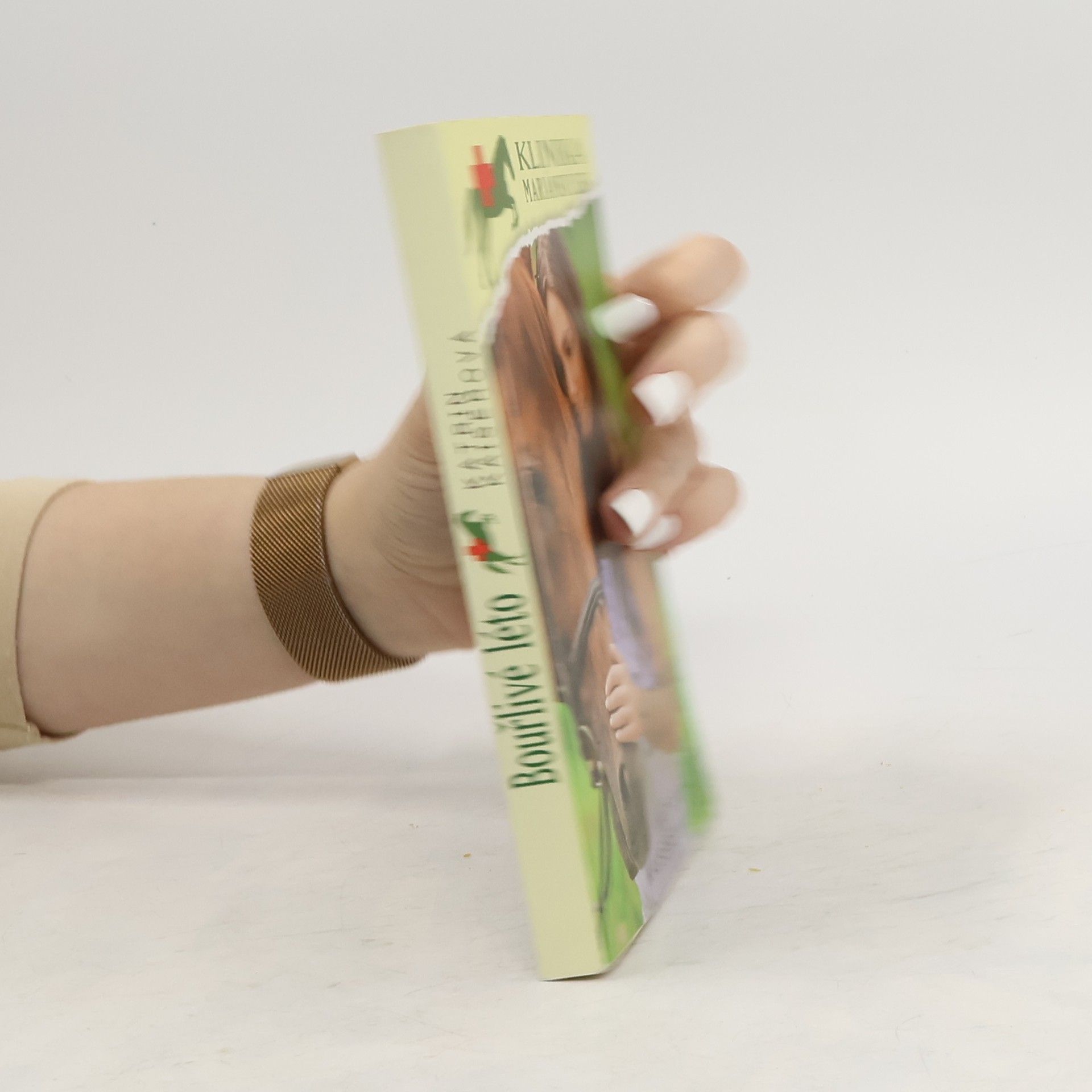 Katrin Kaiser Klinika Mariánský les. Díl 1. Bouřlivé léto