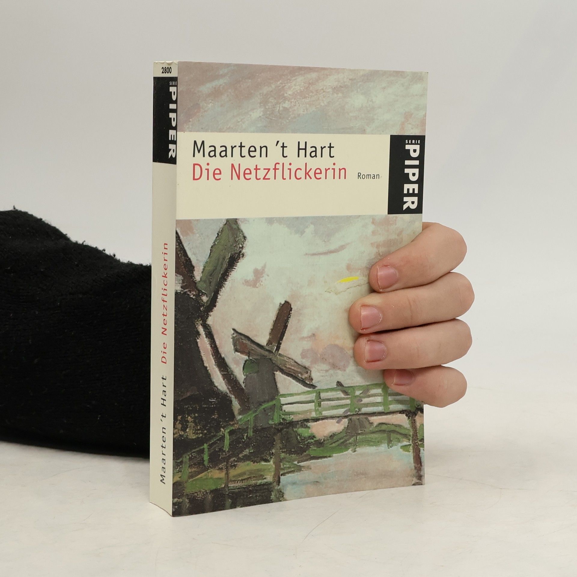 Maarten t. Hart Die Netzflickerin