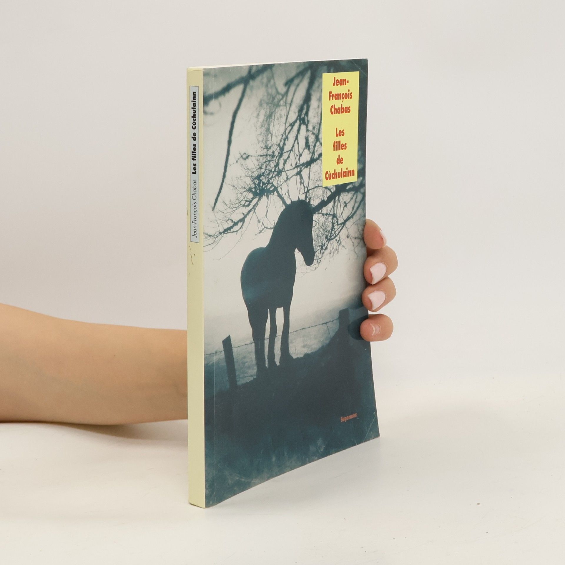Jean-François Chabas Les filles de Cùchulainn