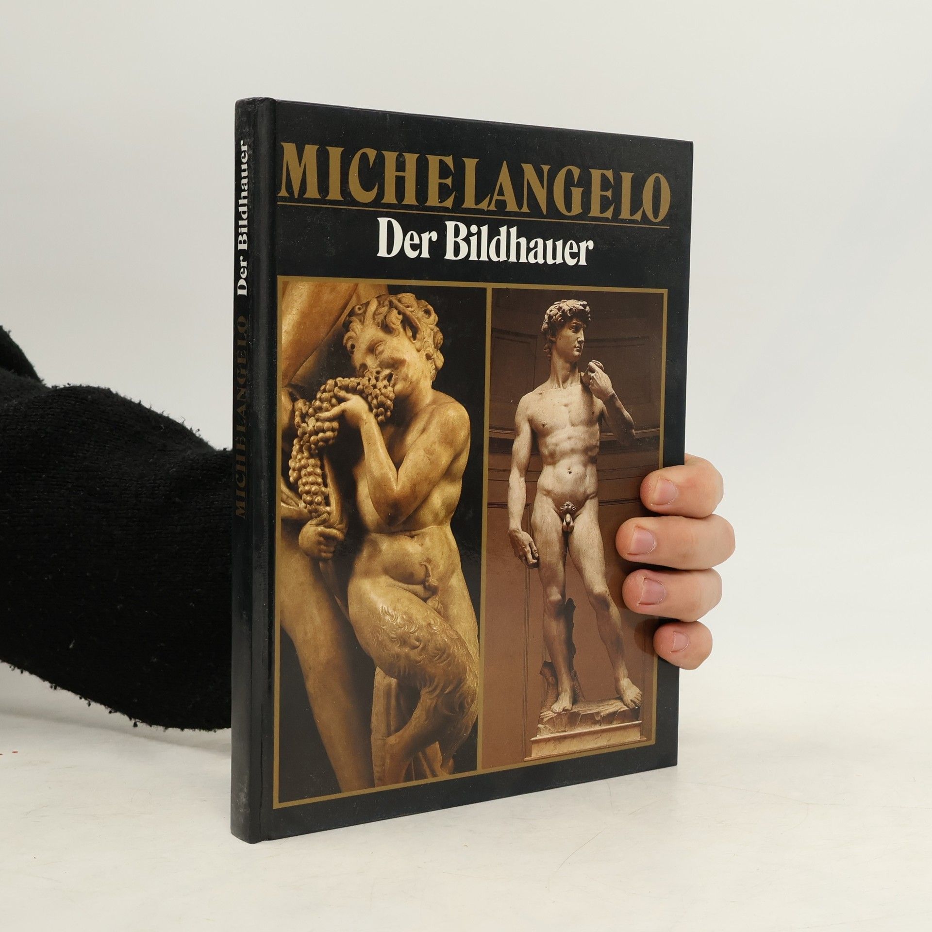 Michelangelo Michelangelo. Der Bildhauer. Der Maler. Der Architekt. Sein schöpferisches Leben und Werk.