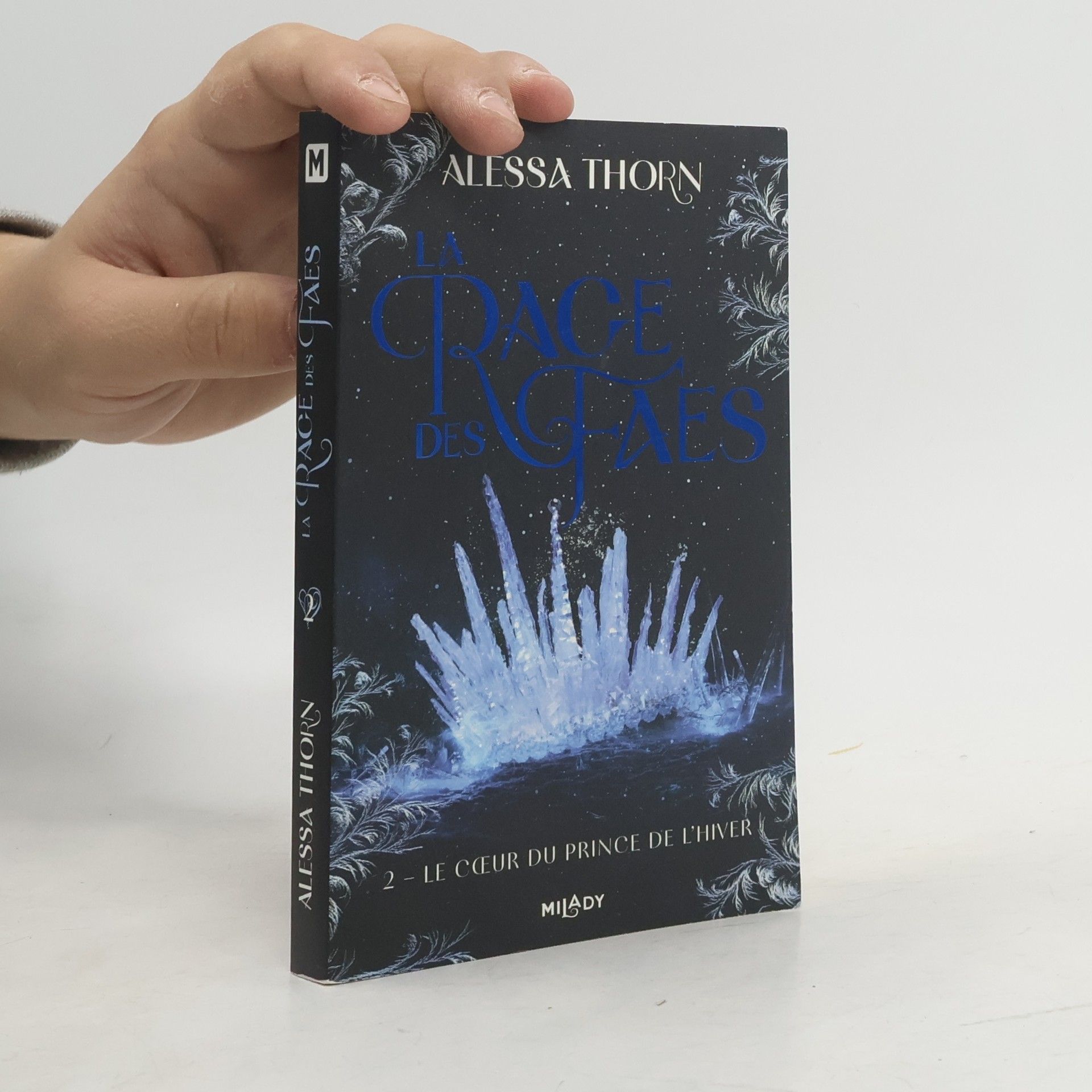 Le coeur du prince de l'hiver