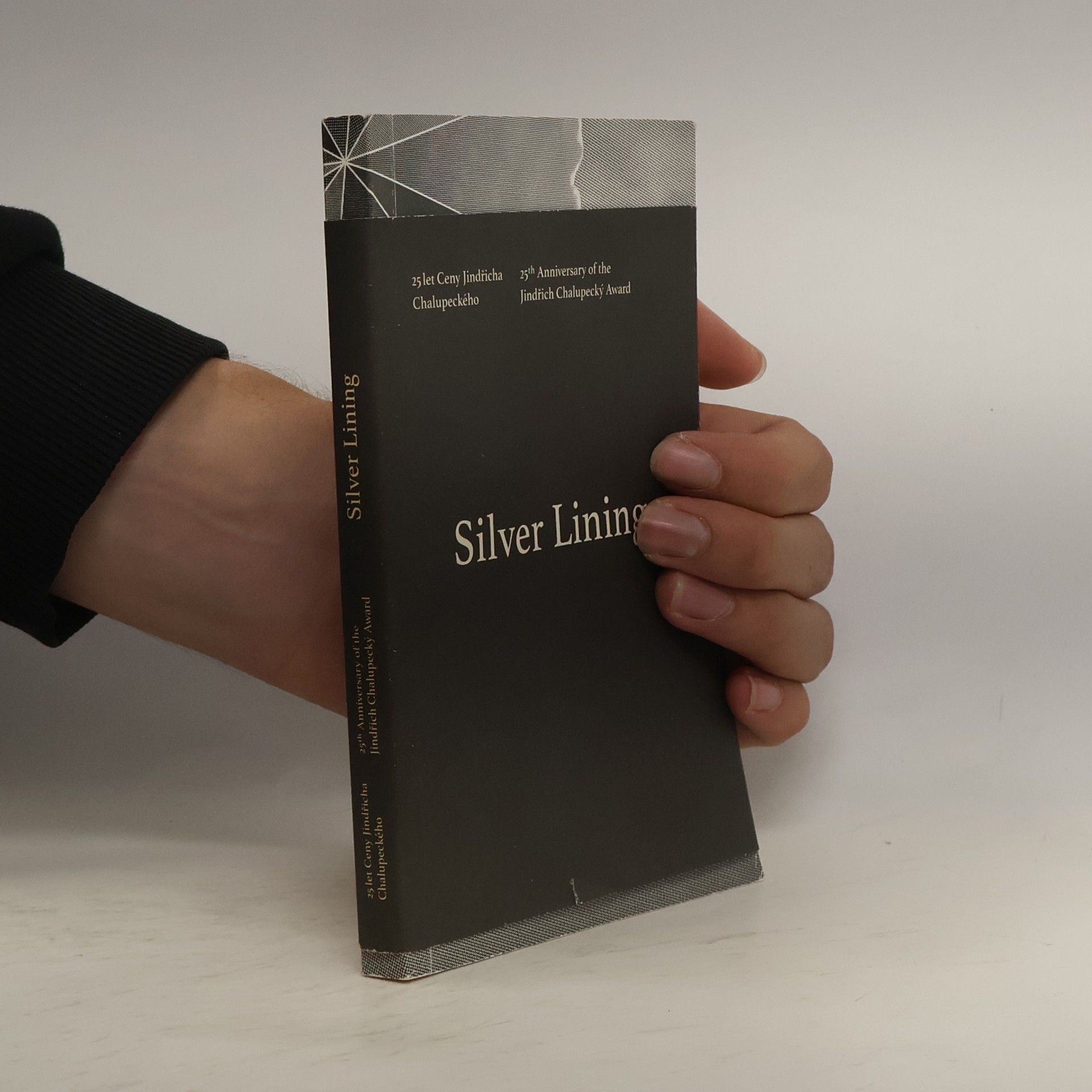 Collectif d'auteurs Silver Lining. 25. výročí Ceny Jindřicha Chalupeckého
