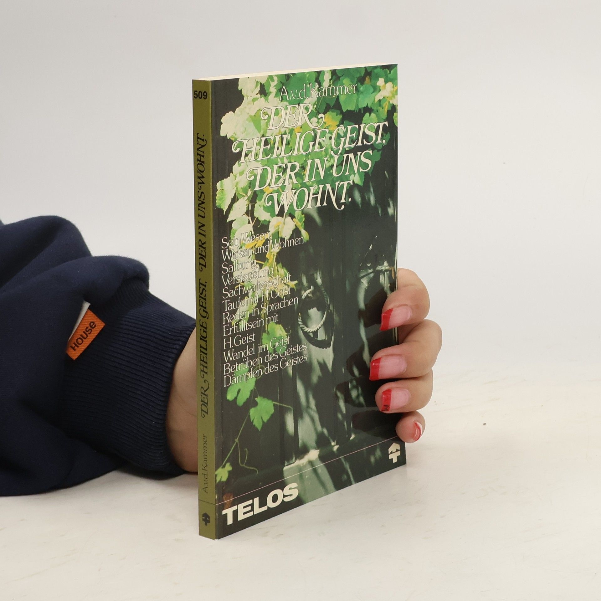 Albert von der Kammer Der Heilige Geist, der in uns wohnt