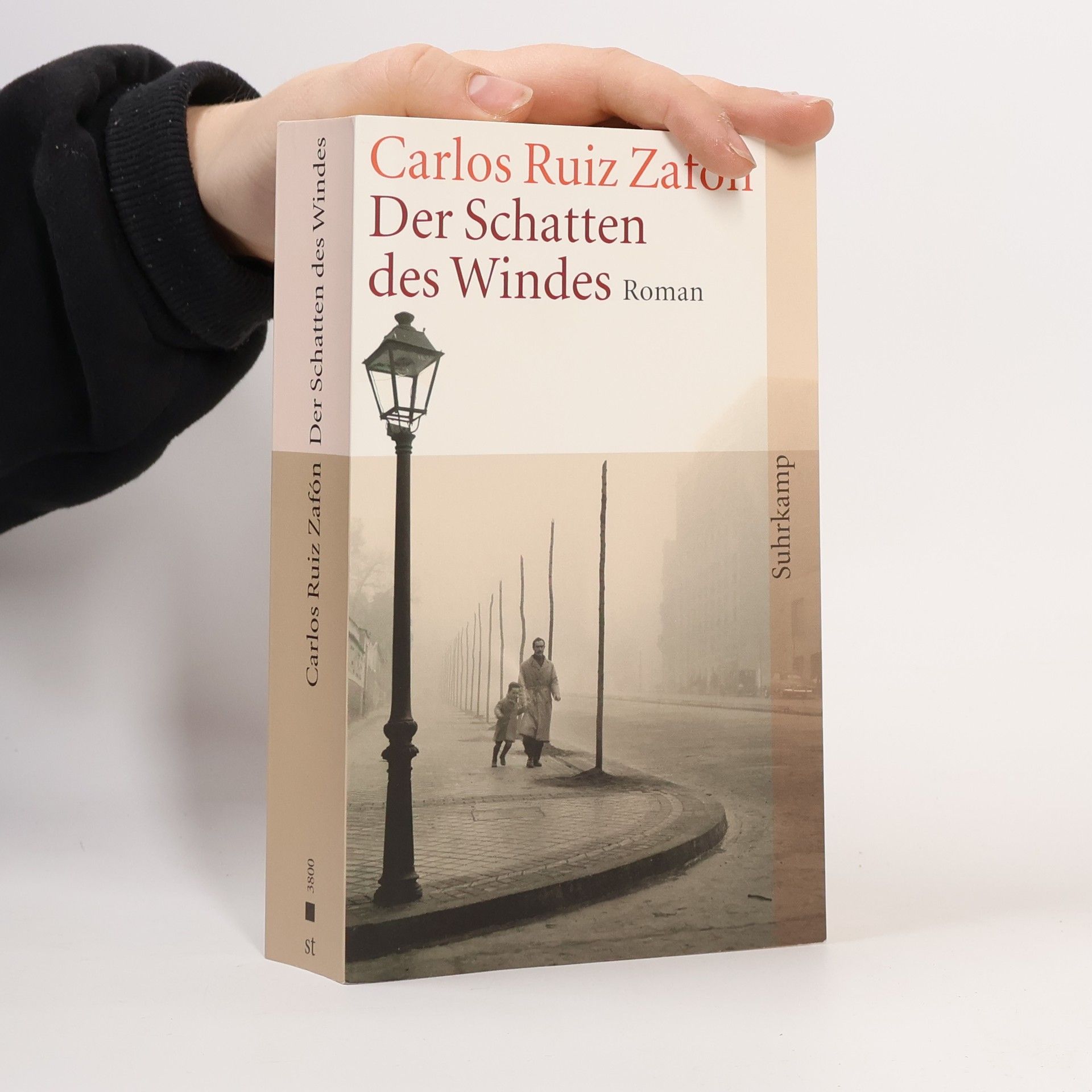 Carlos Ruiz Zafón Der Schatten des Windes