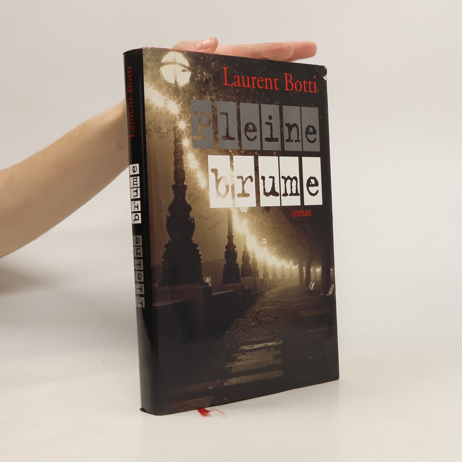 Laurent Botti Pleine brume