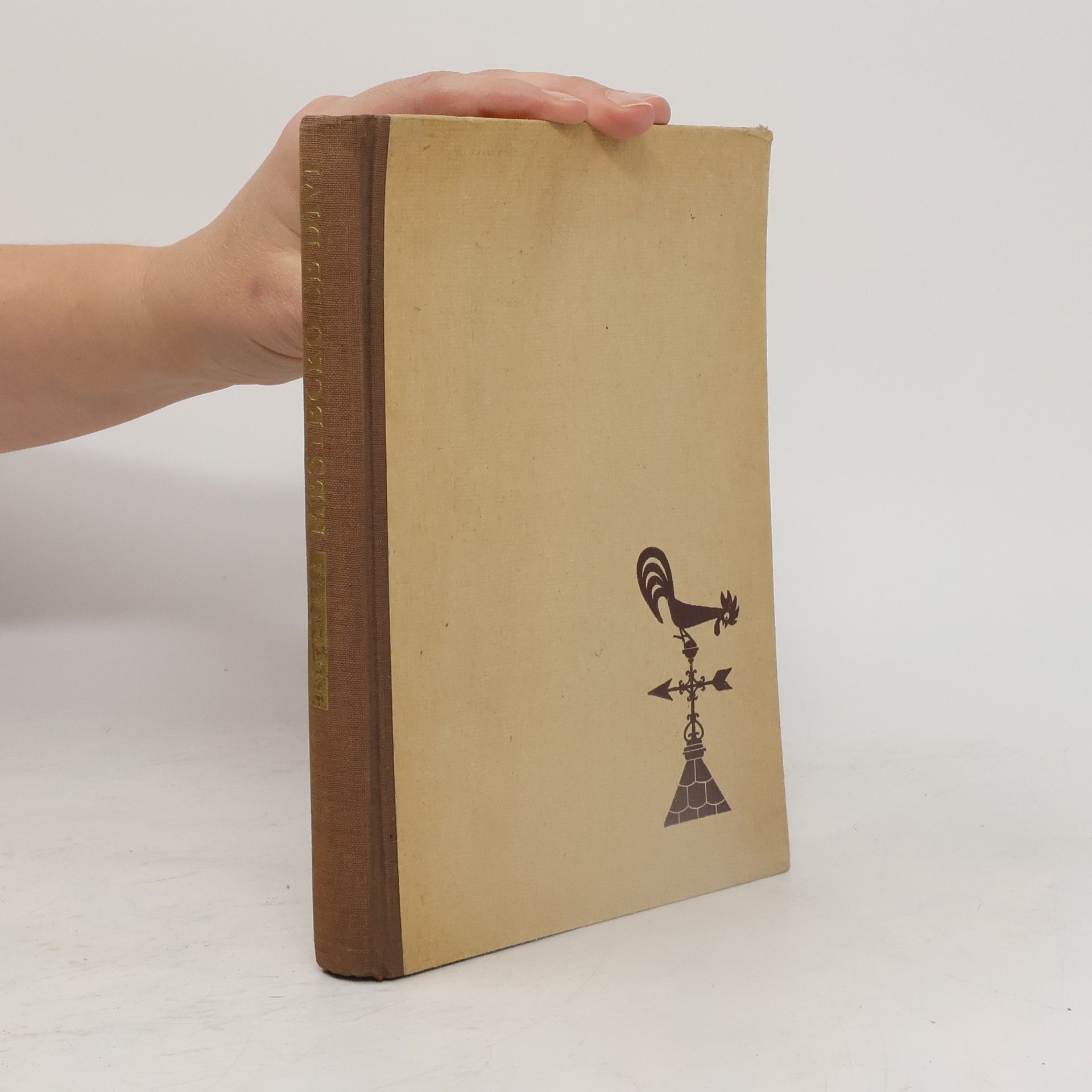 Ivan Kříž Městečko se diví