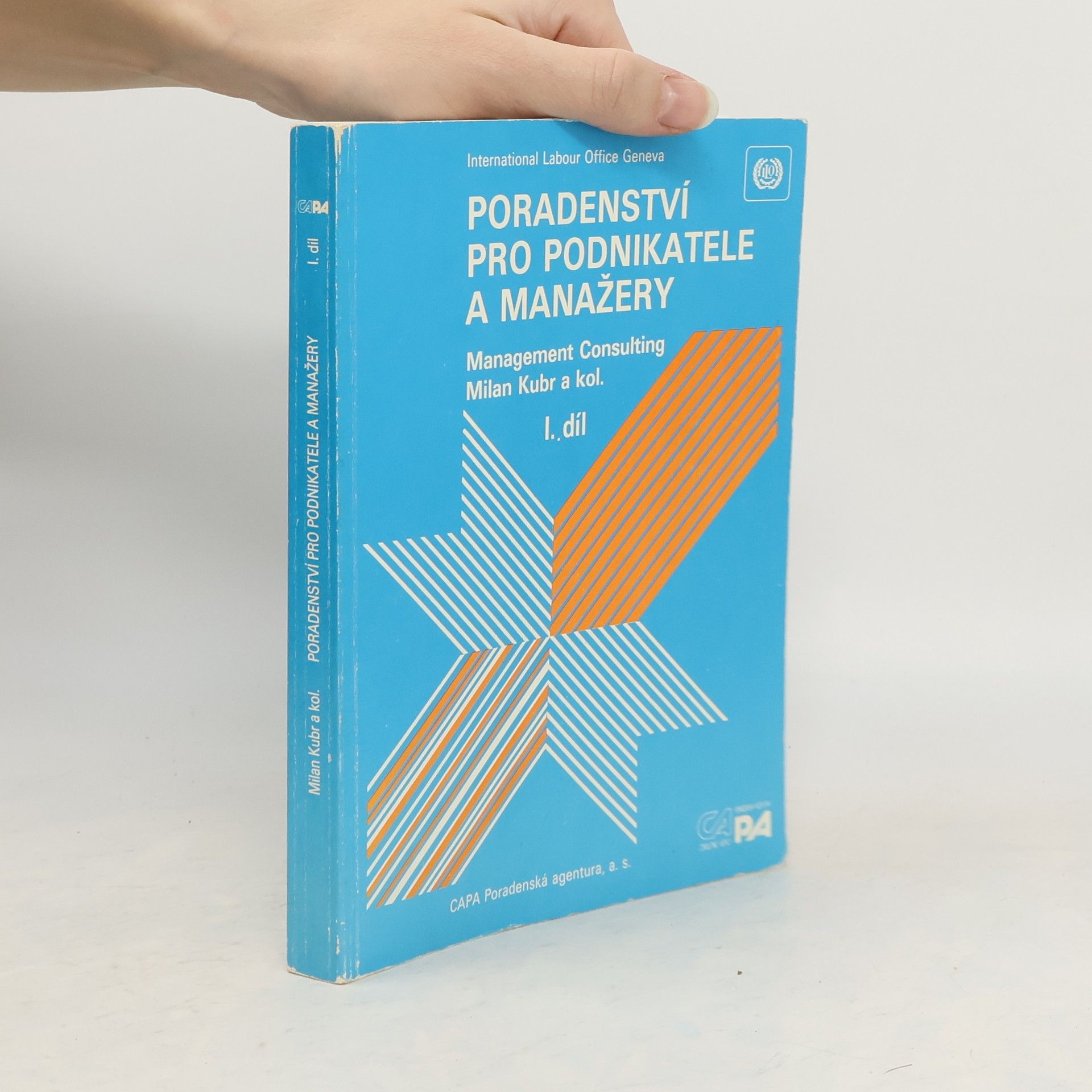 Poradenství pro podnikatele a manažery, Díl I.