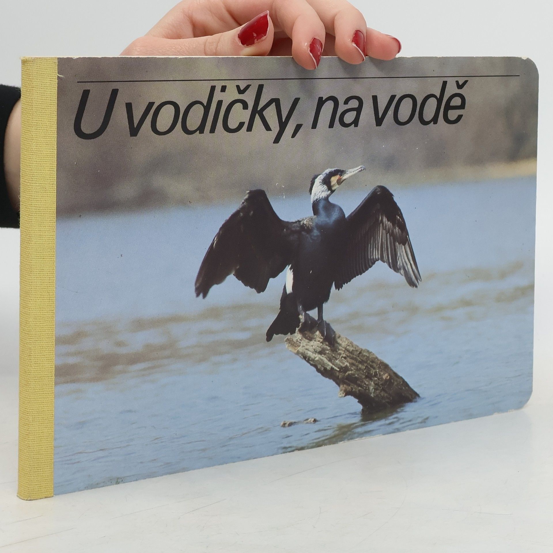 Collectif d'auteurs Pri vodičke, na vode