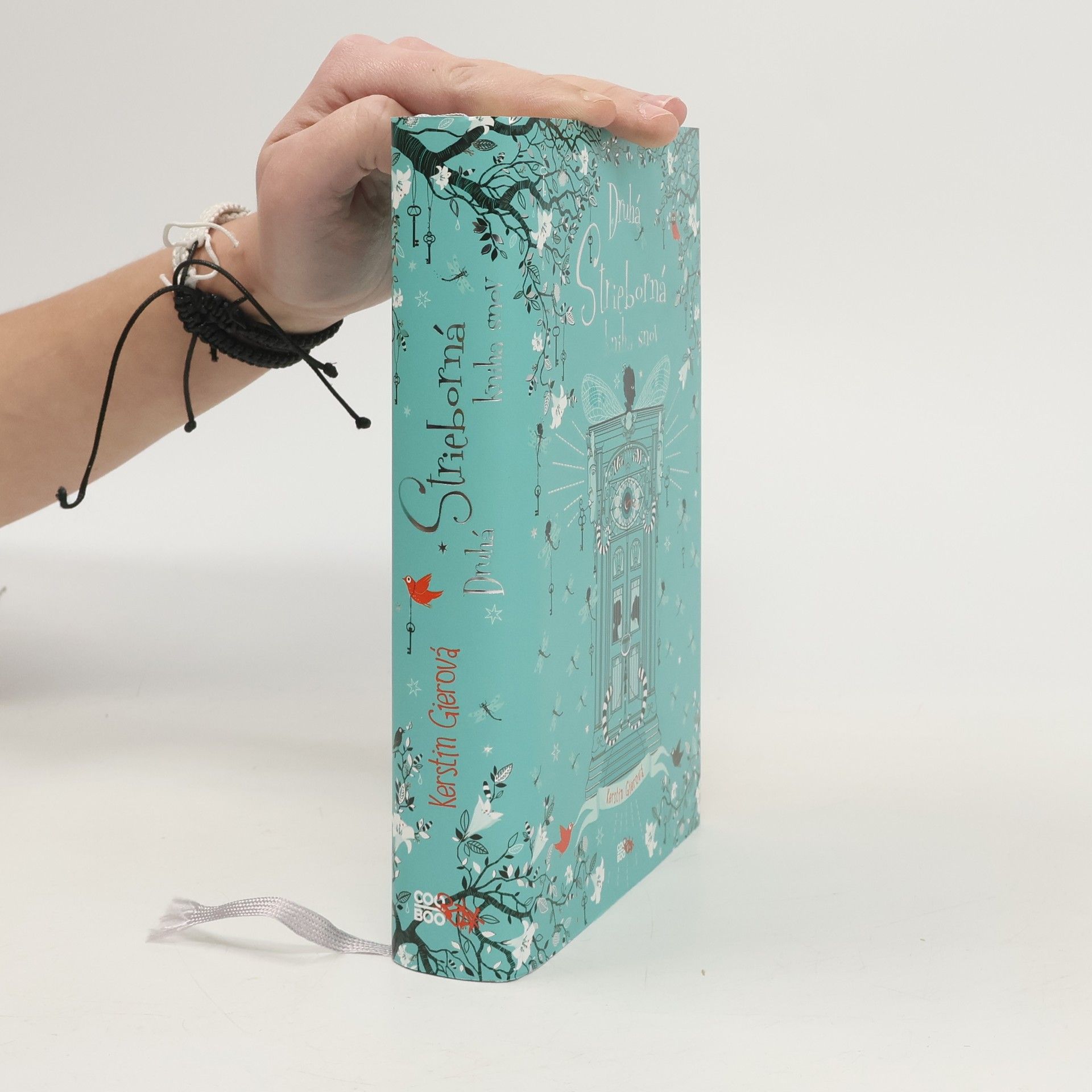 Druhá strieborná kniha snov