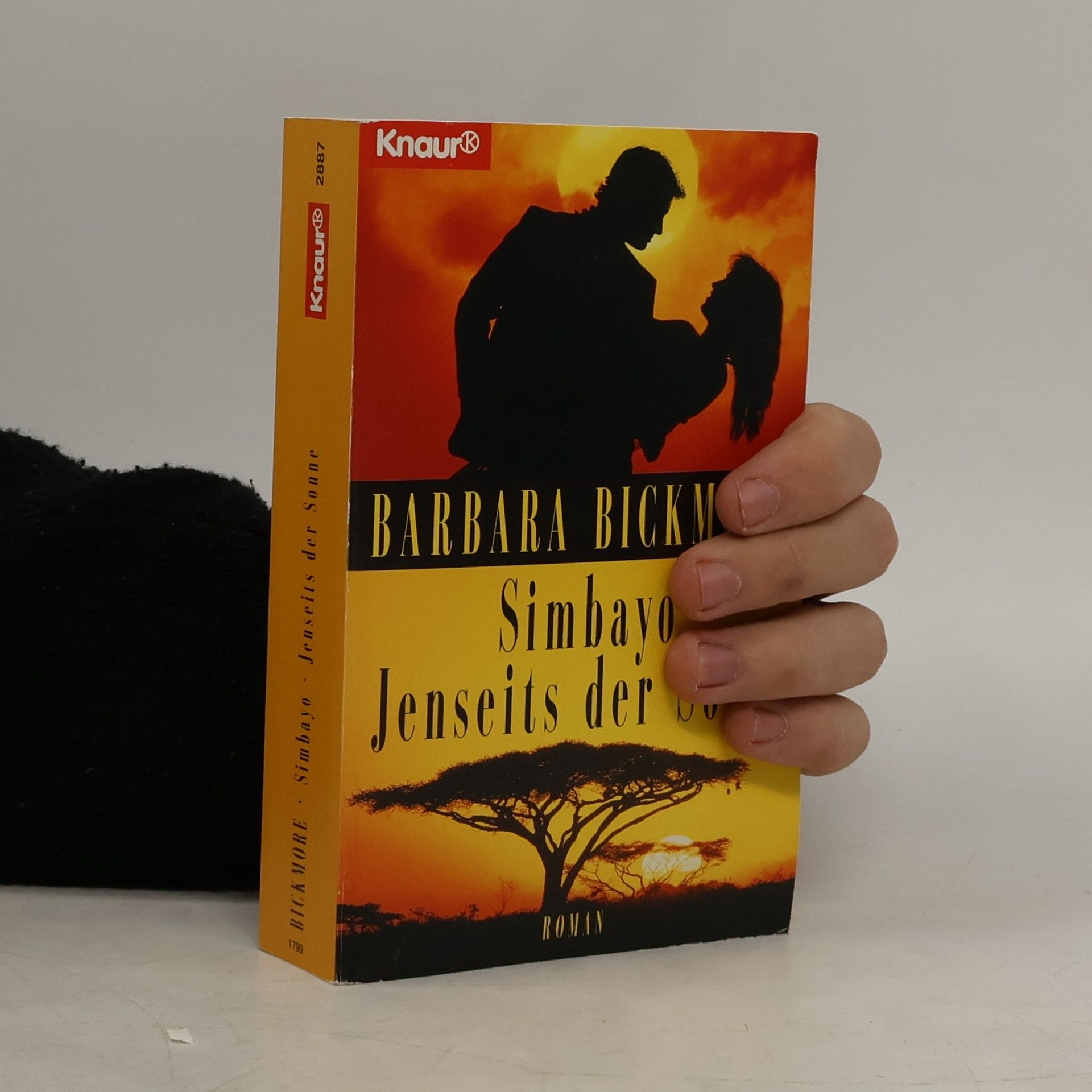 Barbara Bickmore Simbayo - Jenseits der Sonne