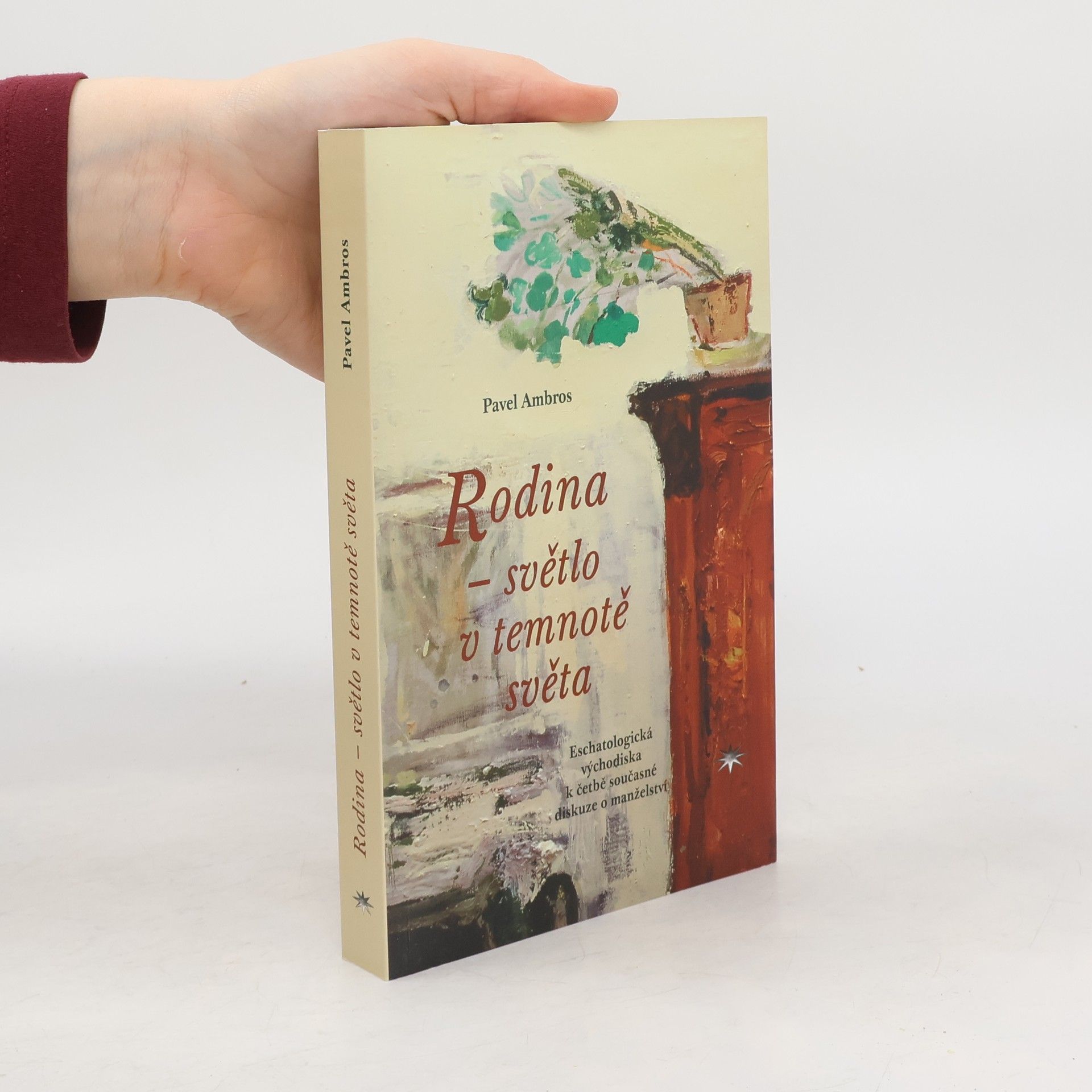 Pavel Ambros Rodina – světlo v temnotě světa