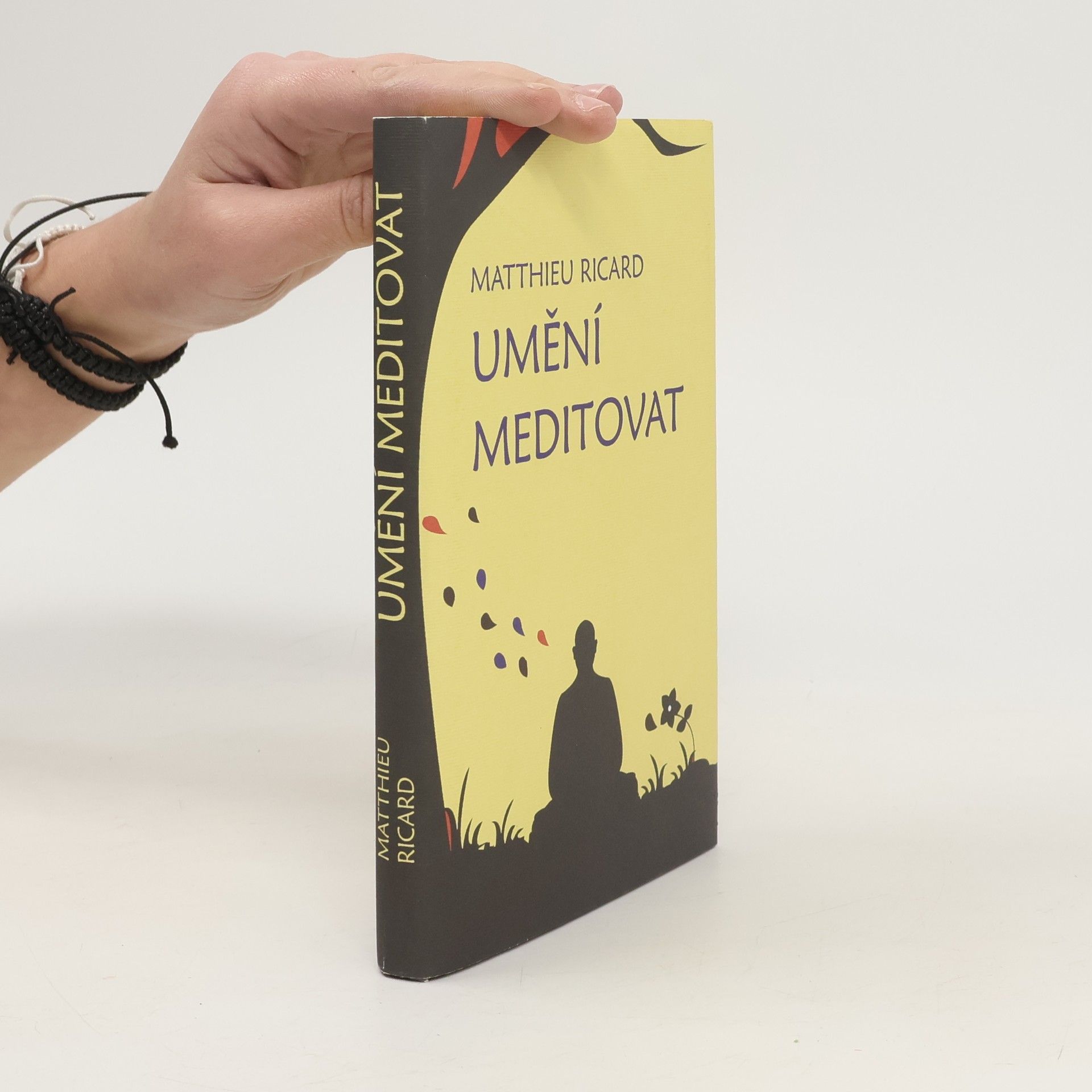Ricard Matthieu Umění meditovat