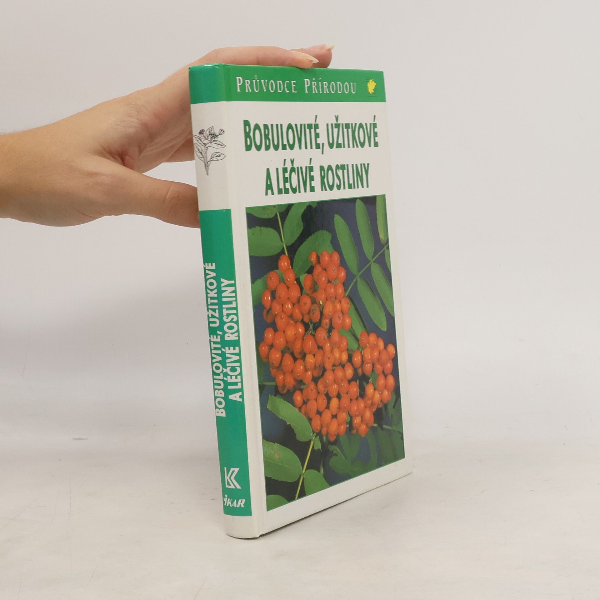 Jürke Grau Bobulovité, užitkové a léčivé rostliny