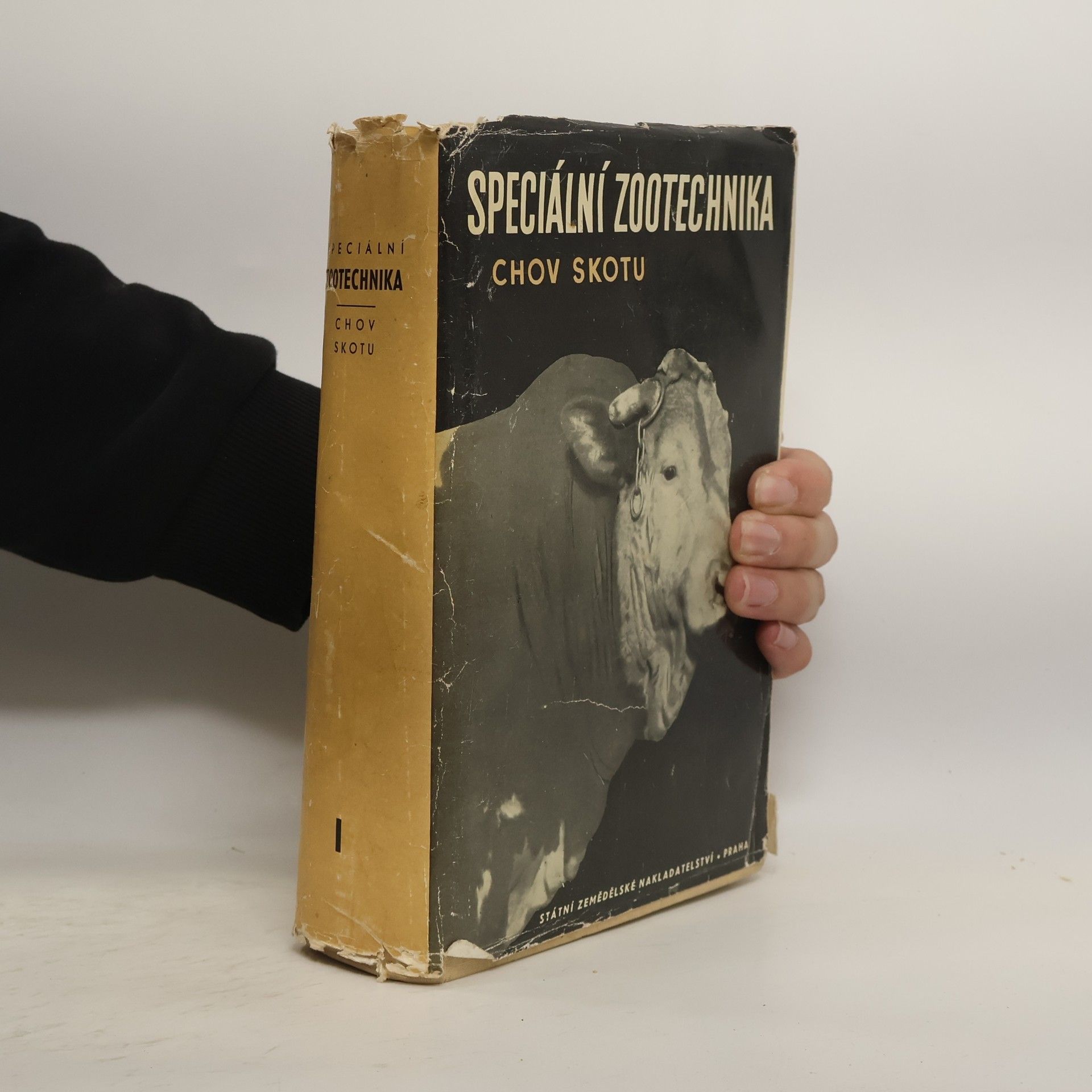 Kolektiv autorů Speciální zootechnika 1. Chov skotu