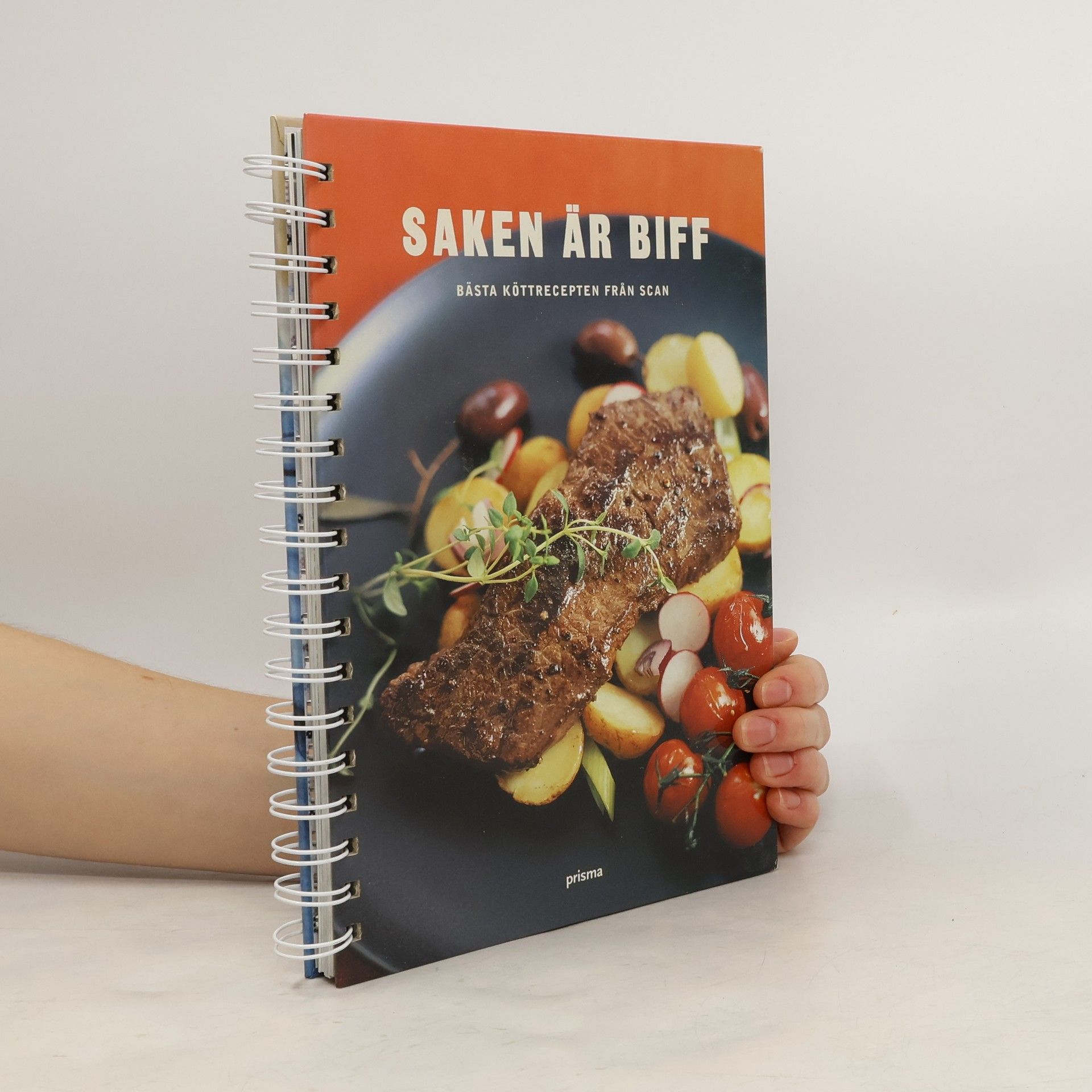 Kolektiv autorů Saken är biff