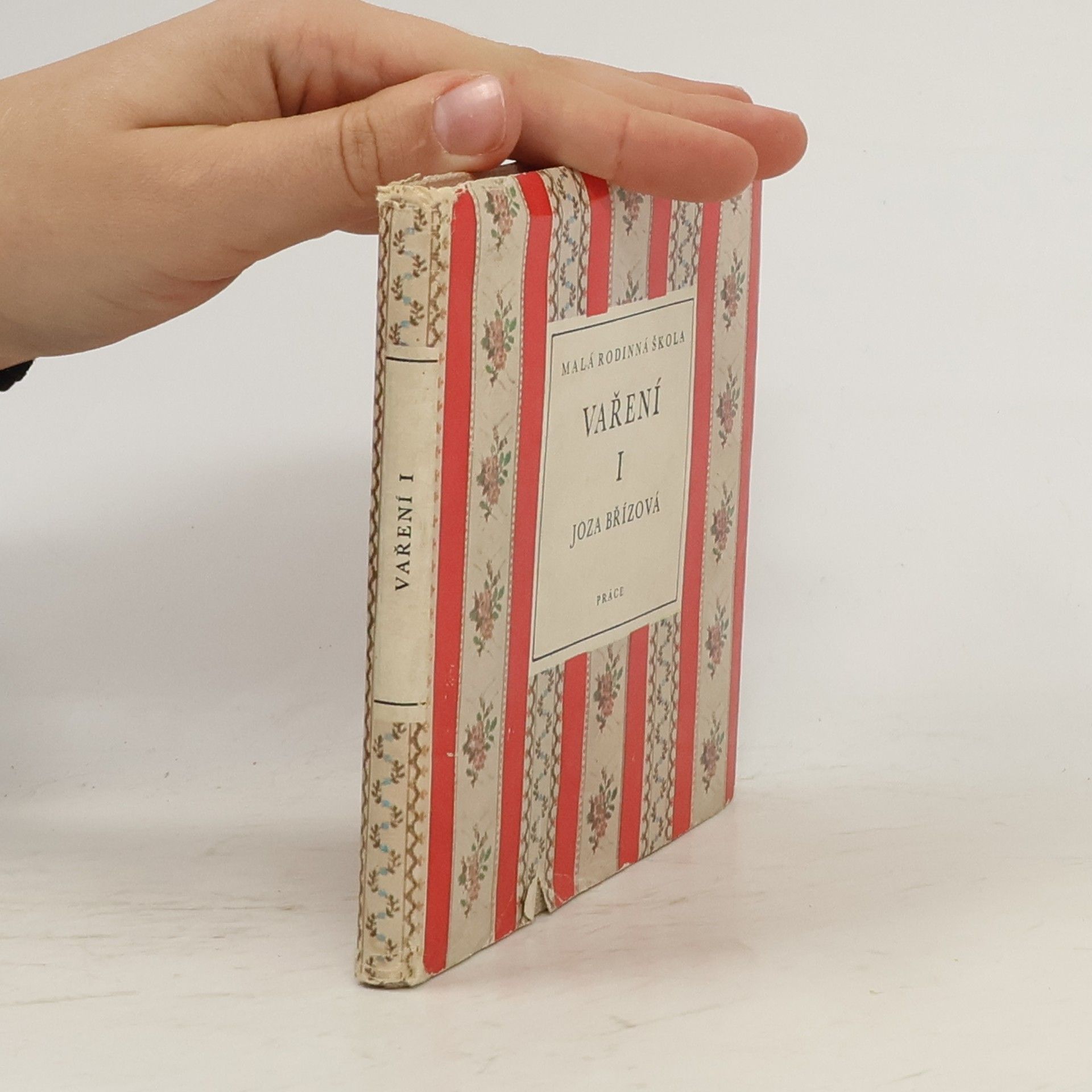 Joza Břízová Malá rodinná škola. Vaření I.