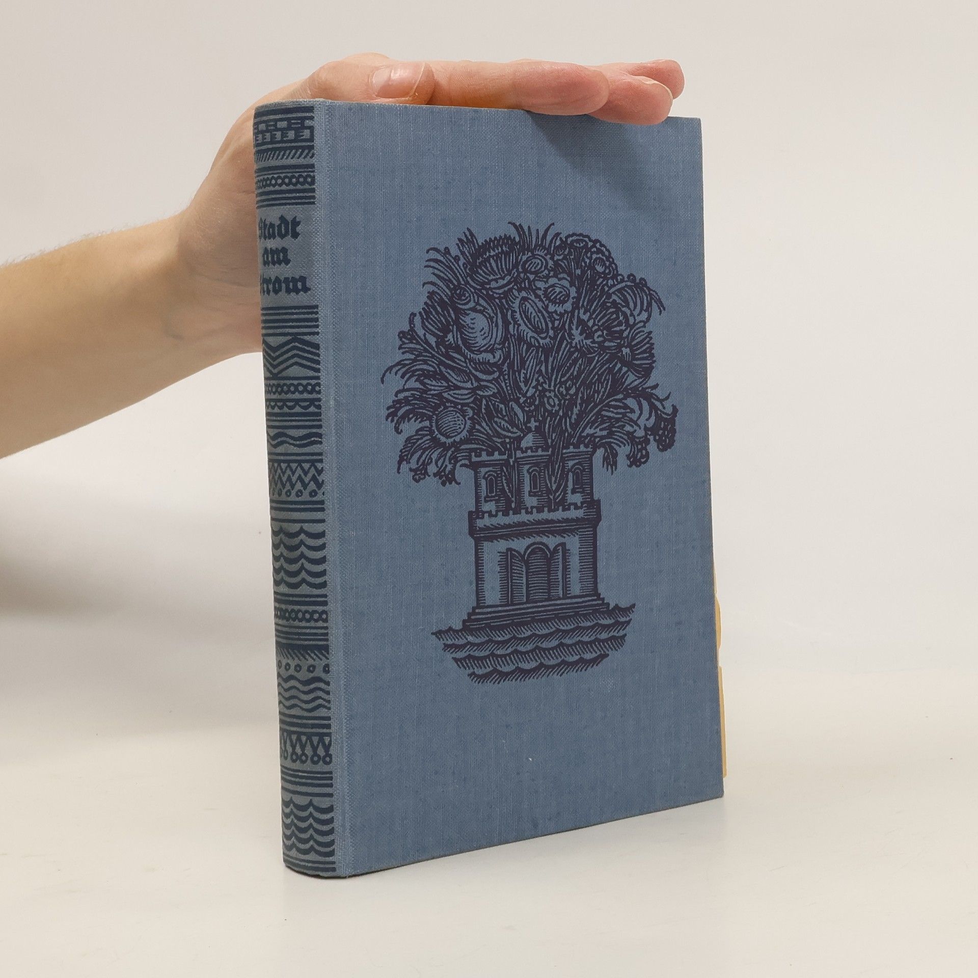 Collectif d'auteurs Stadt am Strom