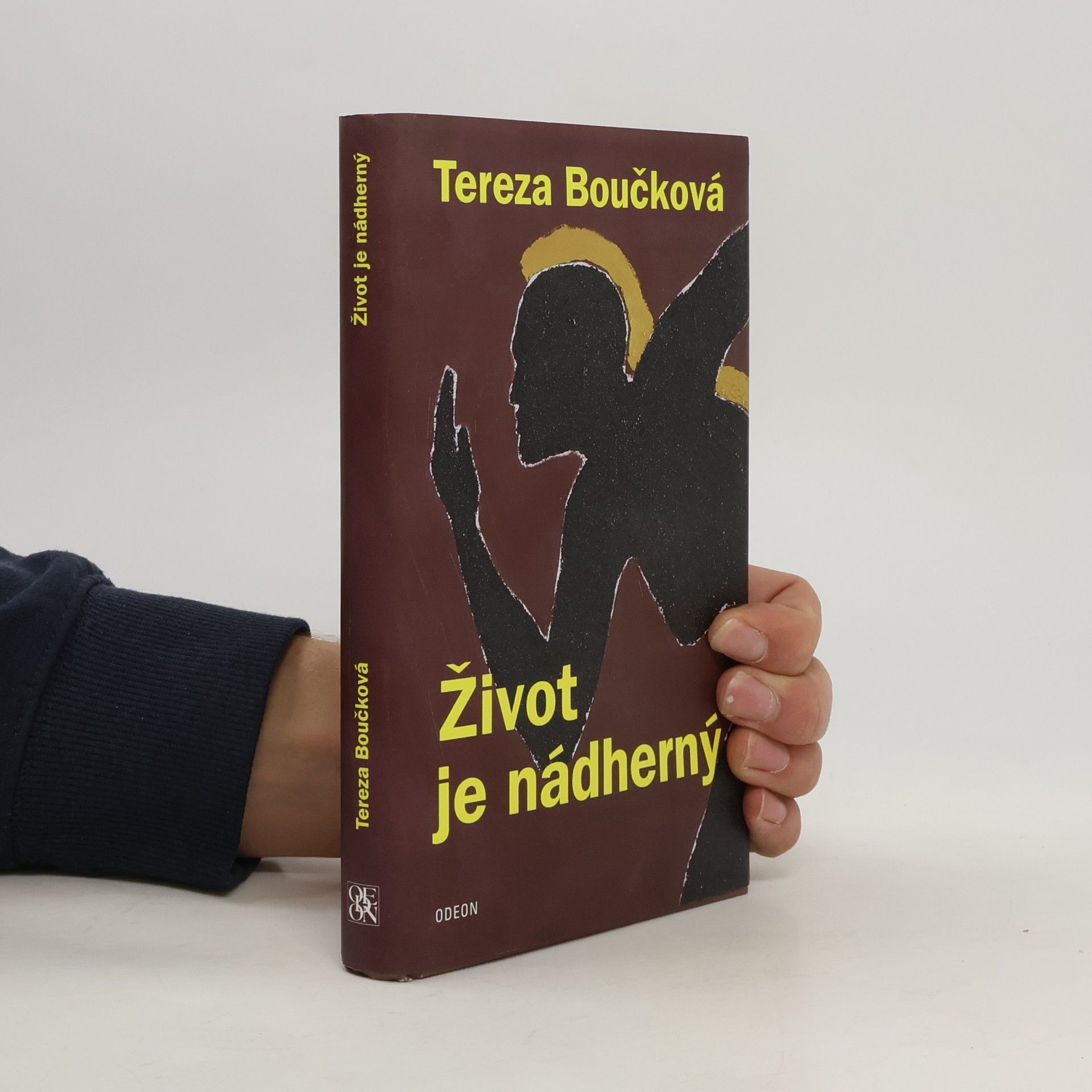 Život je nádherný